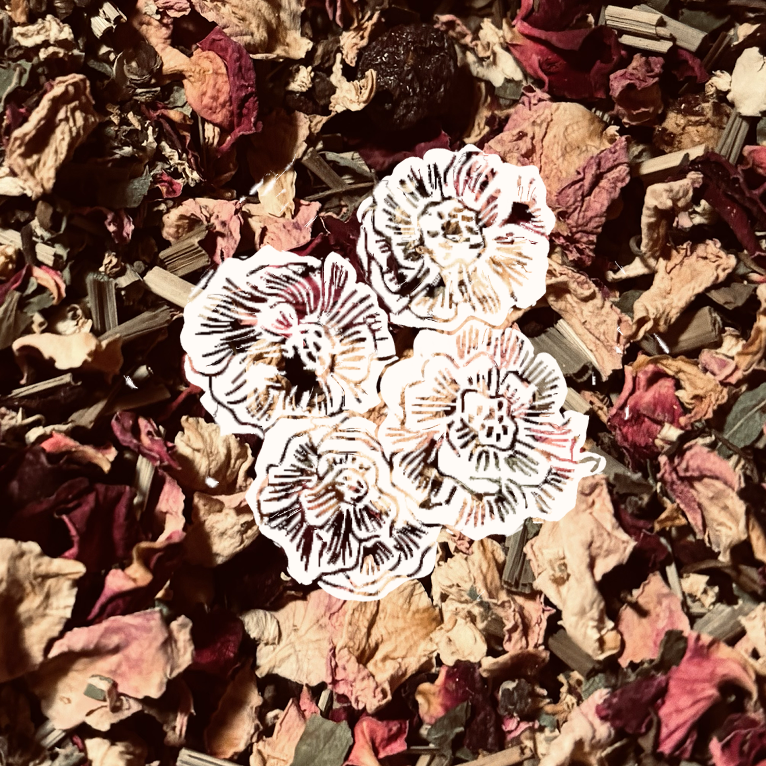 Untitled (2).png
