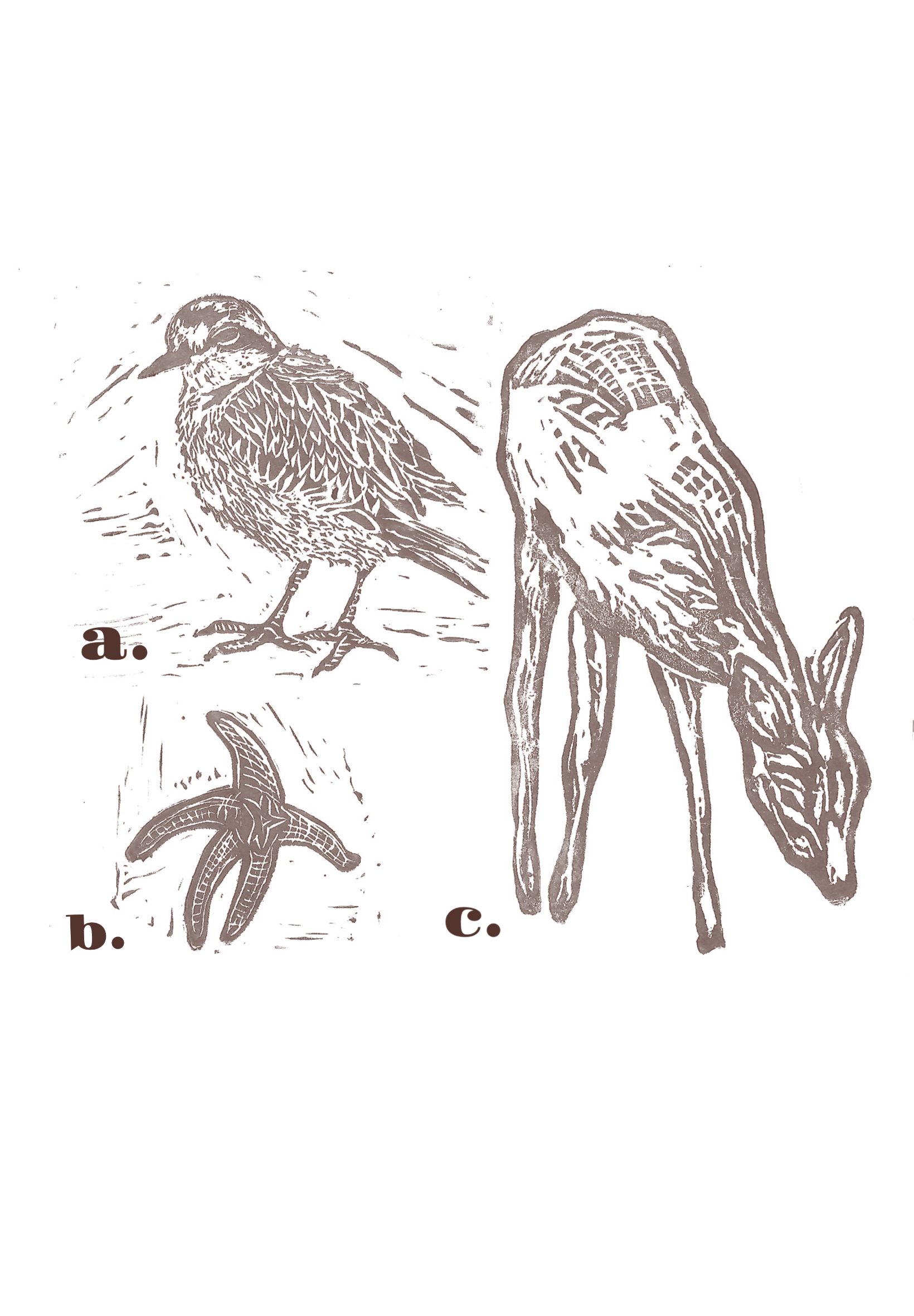 IMG_0326.png