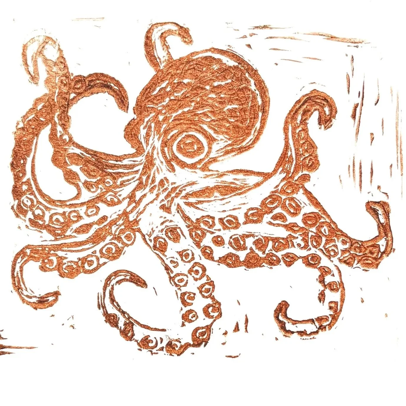 5x7 Octopus Card