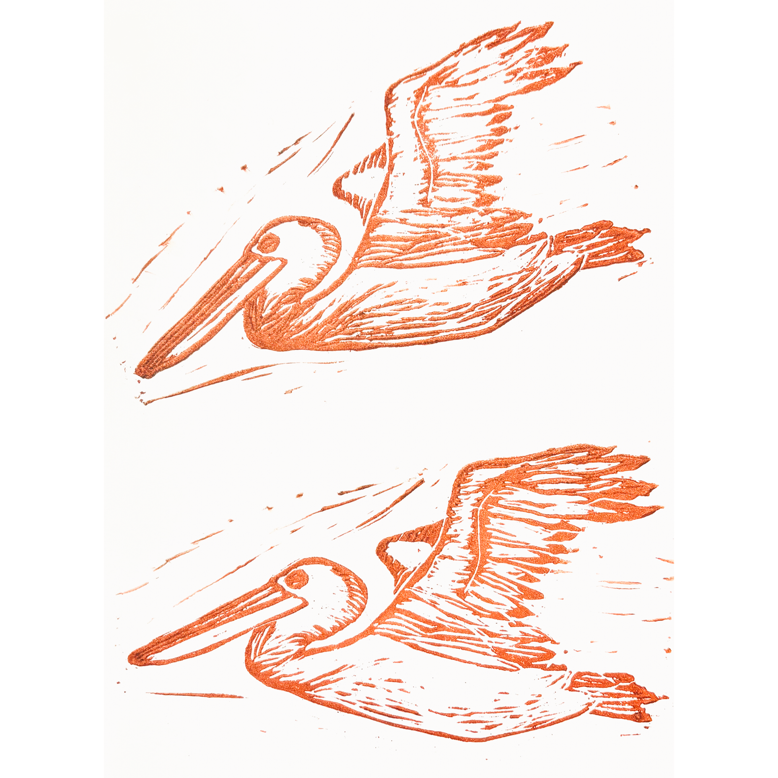 6x9 Pelican Block Print