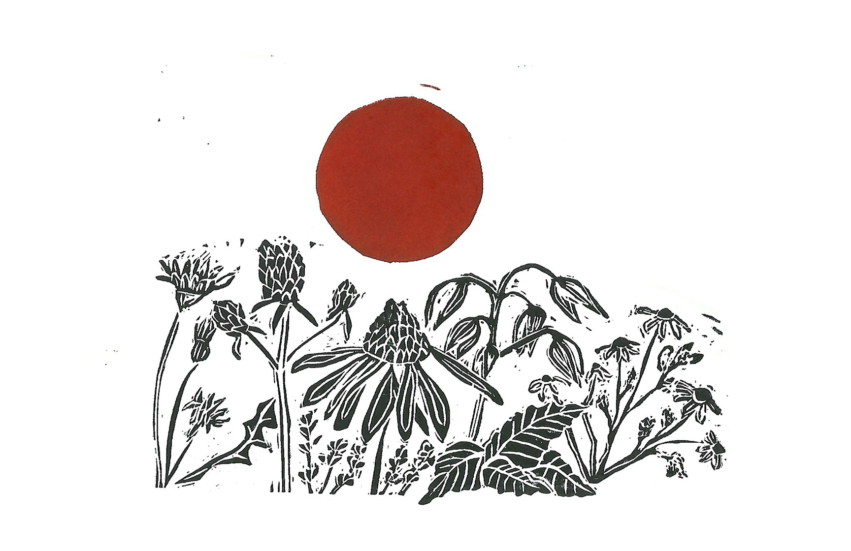 6x9 Herbs with Sun Block Print