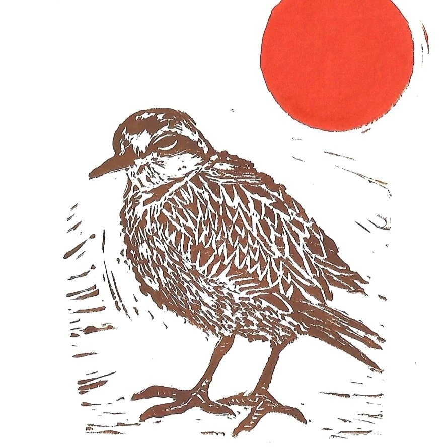 Plover 5x7 Card