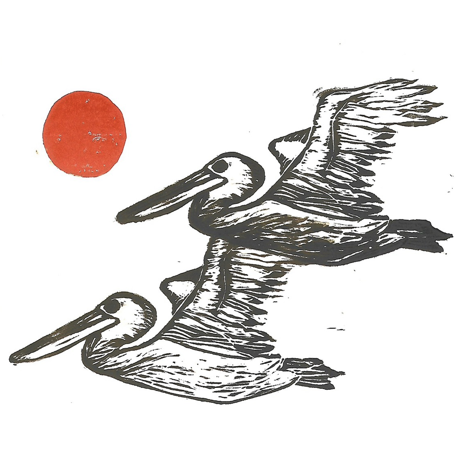 Pelicans 5x7 Card