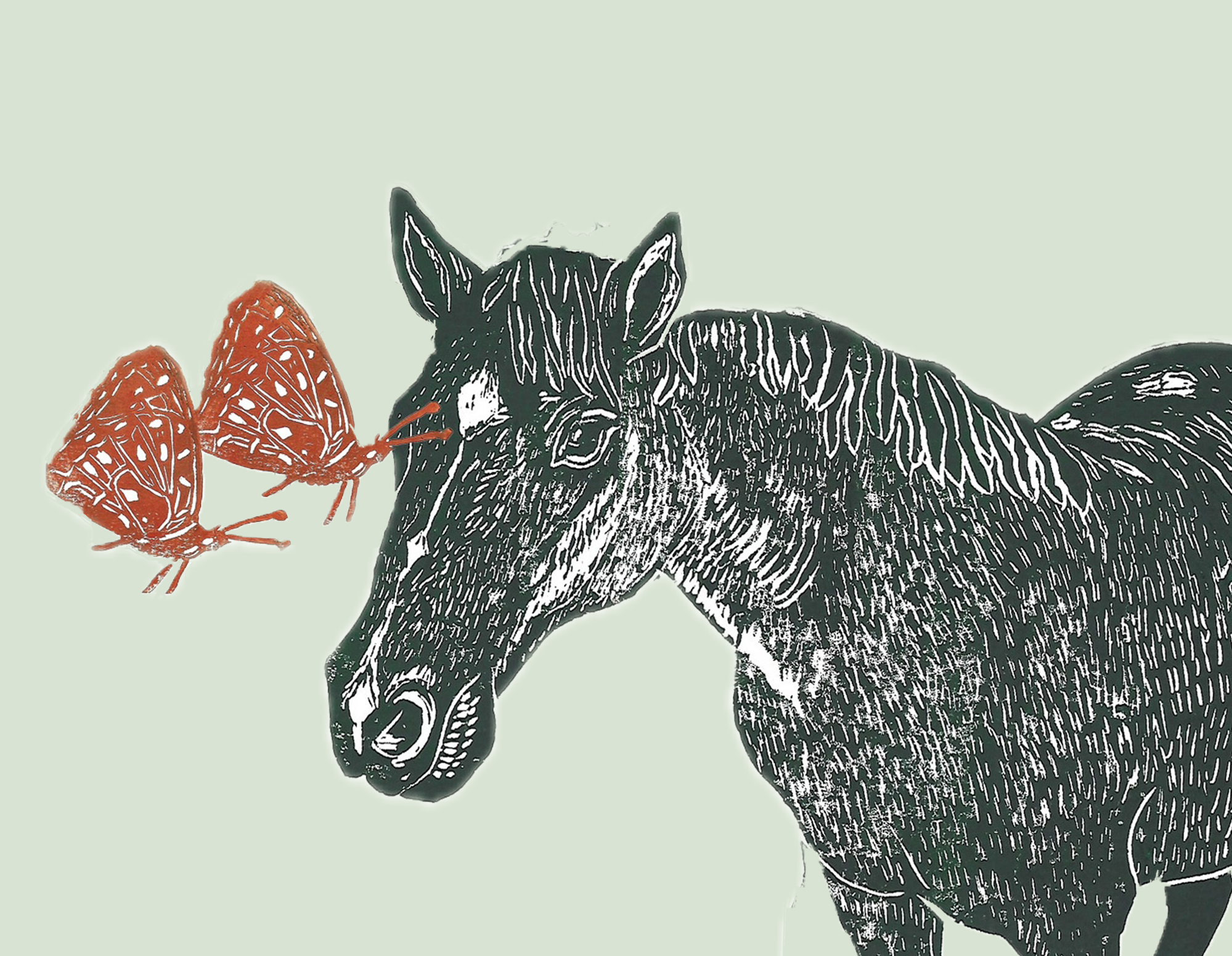 4x6 Horse & Butterflies Card