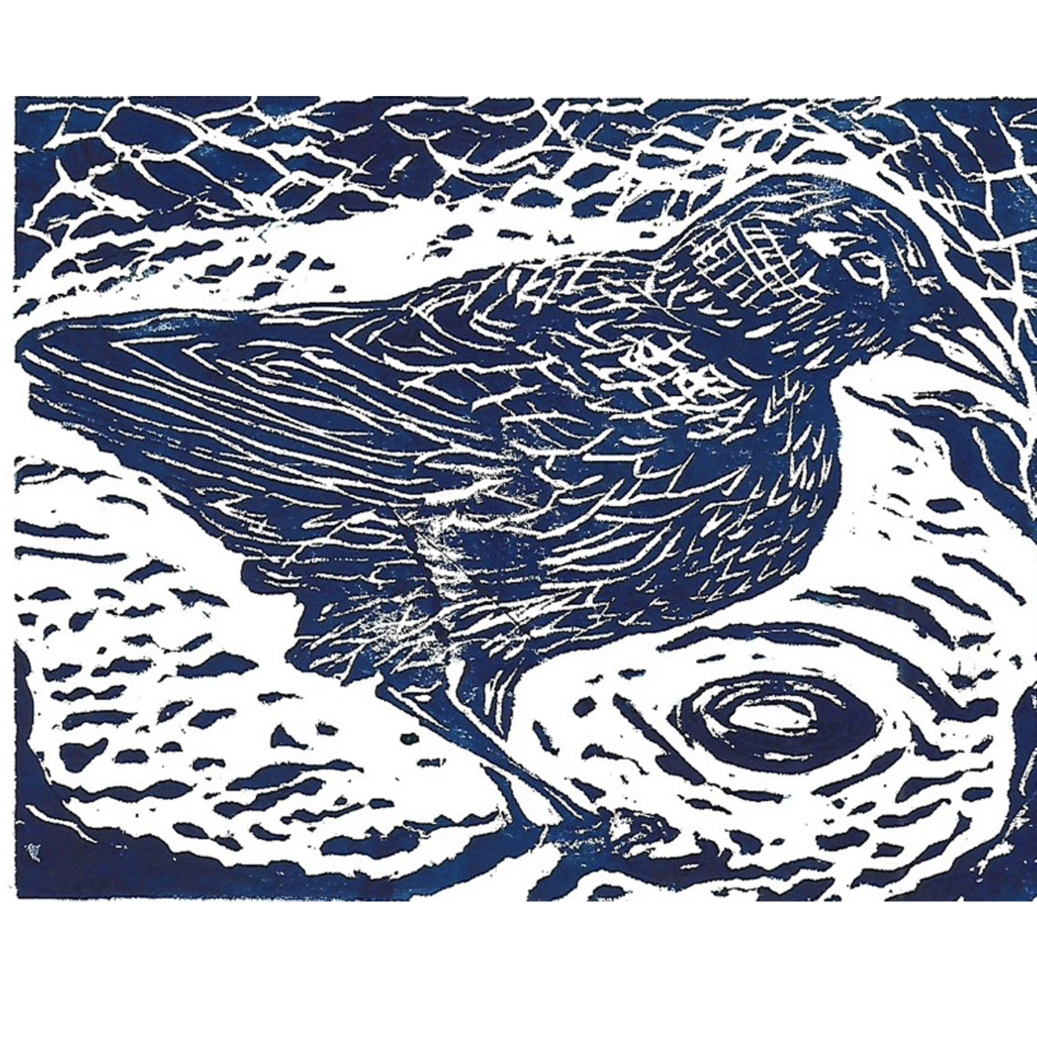 Crow in Water 4x6 Card