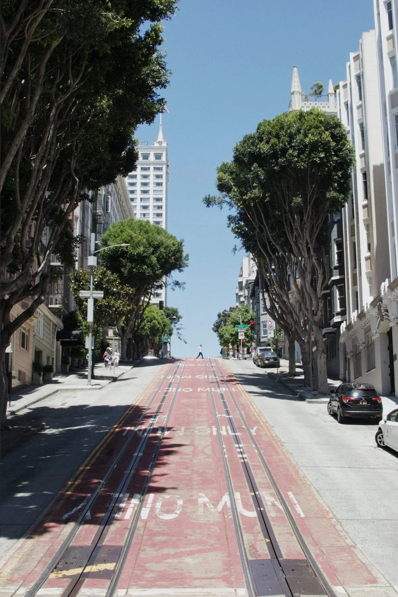 A city street with streetcar tracks and red pavement markings, lined with tall buildings and trees, under a clear blue sky.