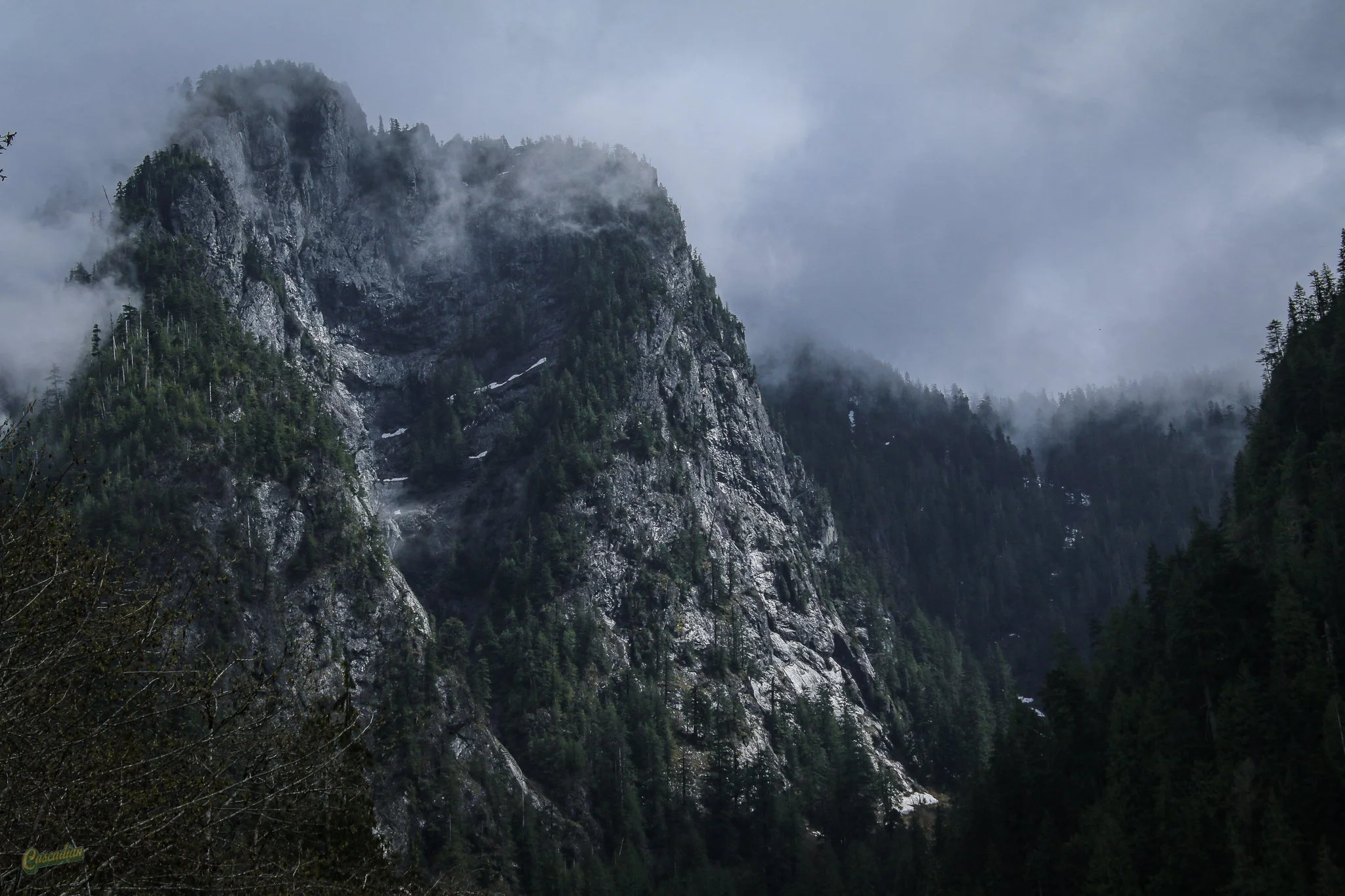 A vantage point in the Washington mountains