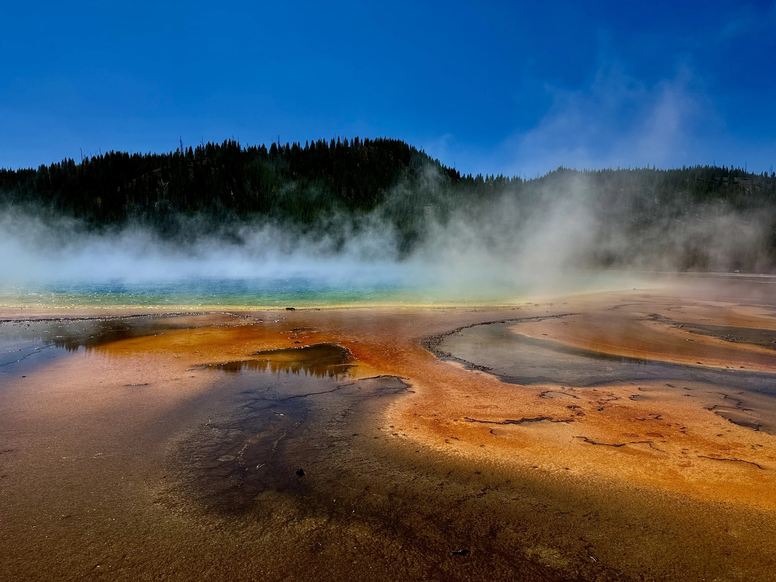 Yellowstone Hot Spots Tour!