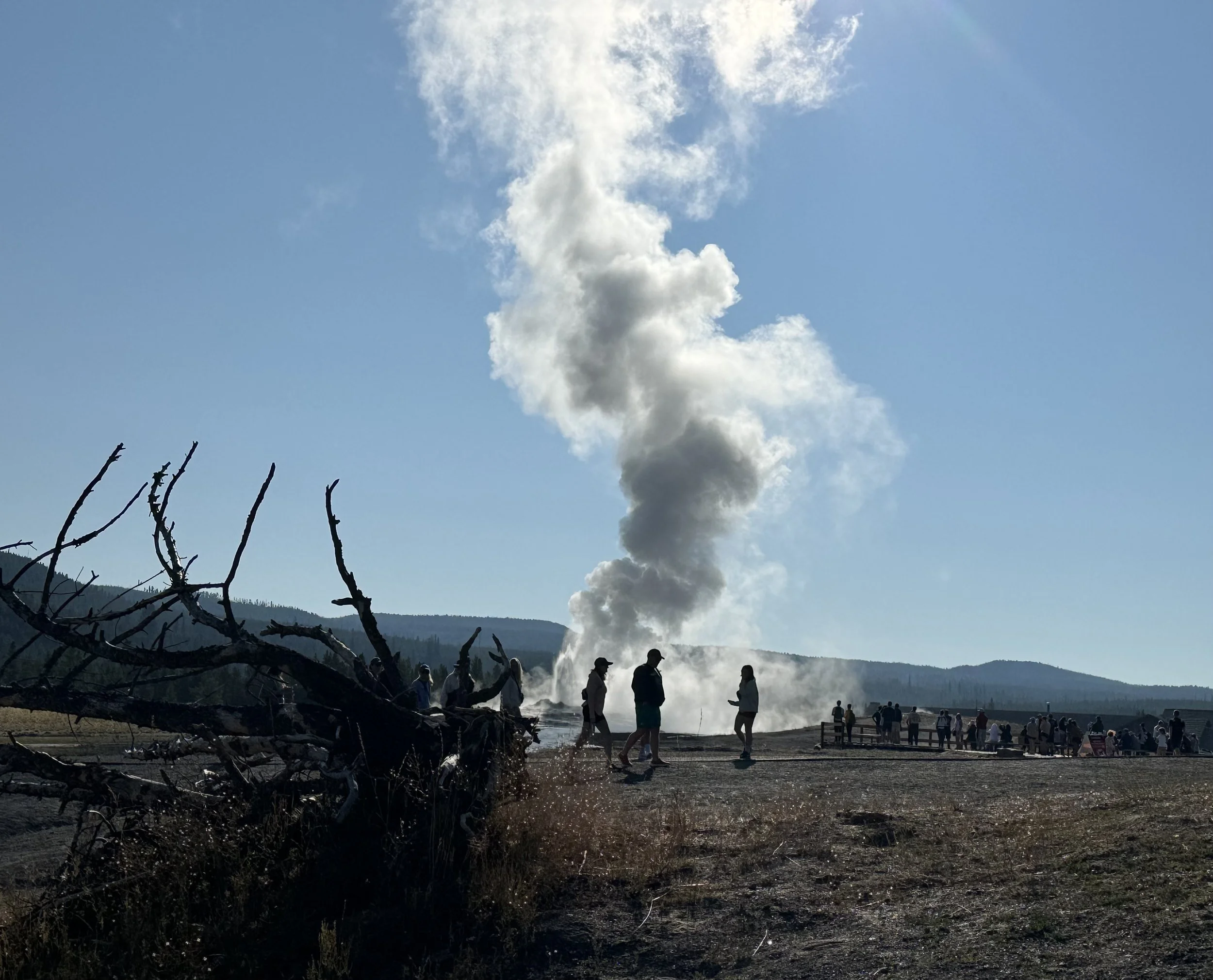 Private Yellowstone Tours
