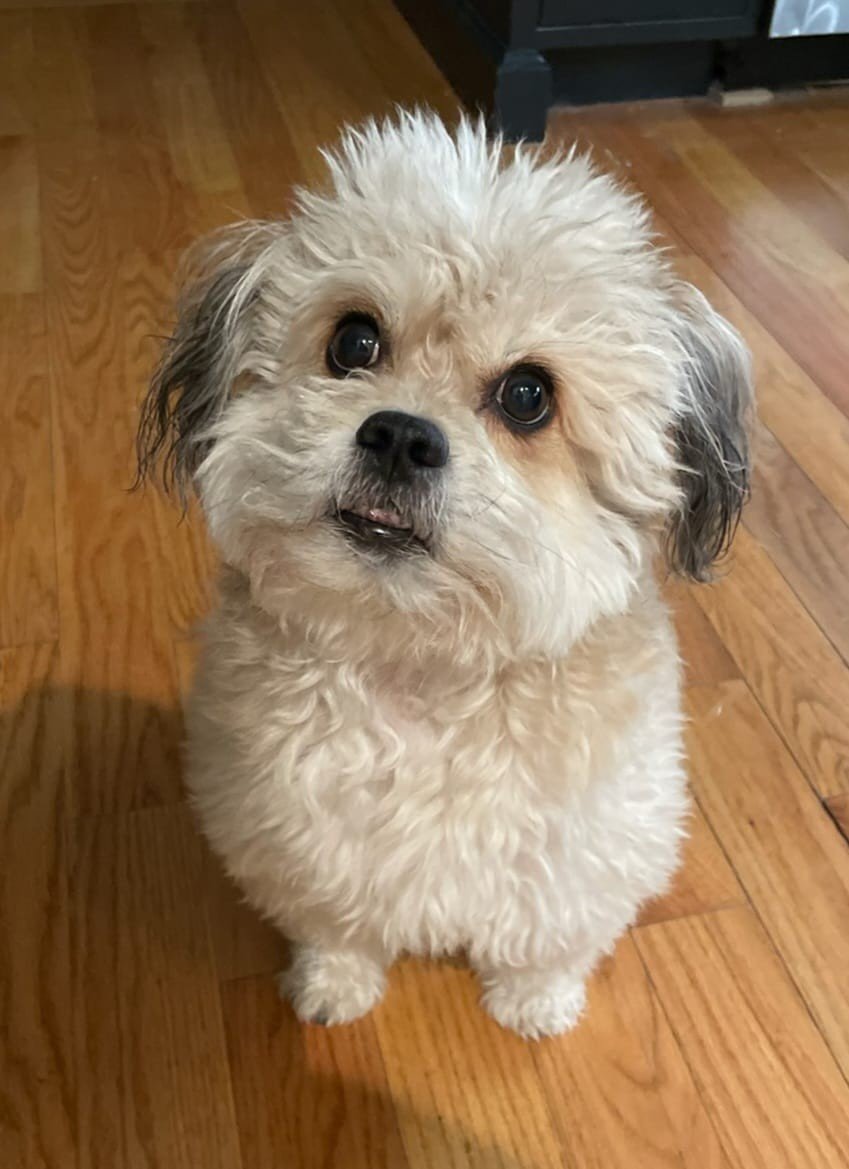 Otis!