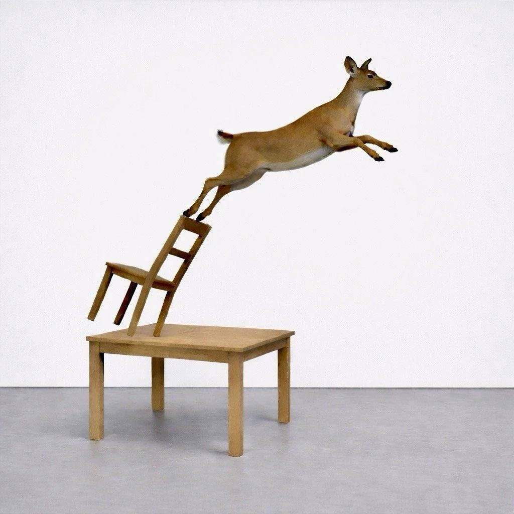 WhatsApp Image 2026-03-05 at 2.12.37 PM.jpeg