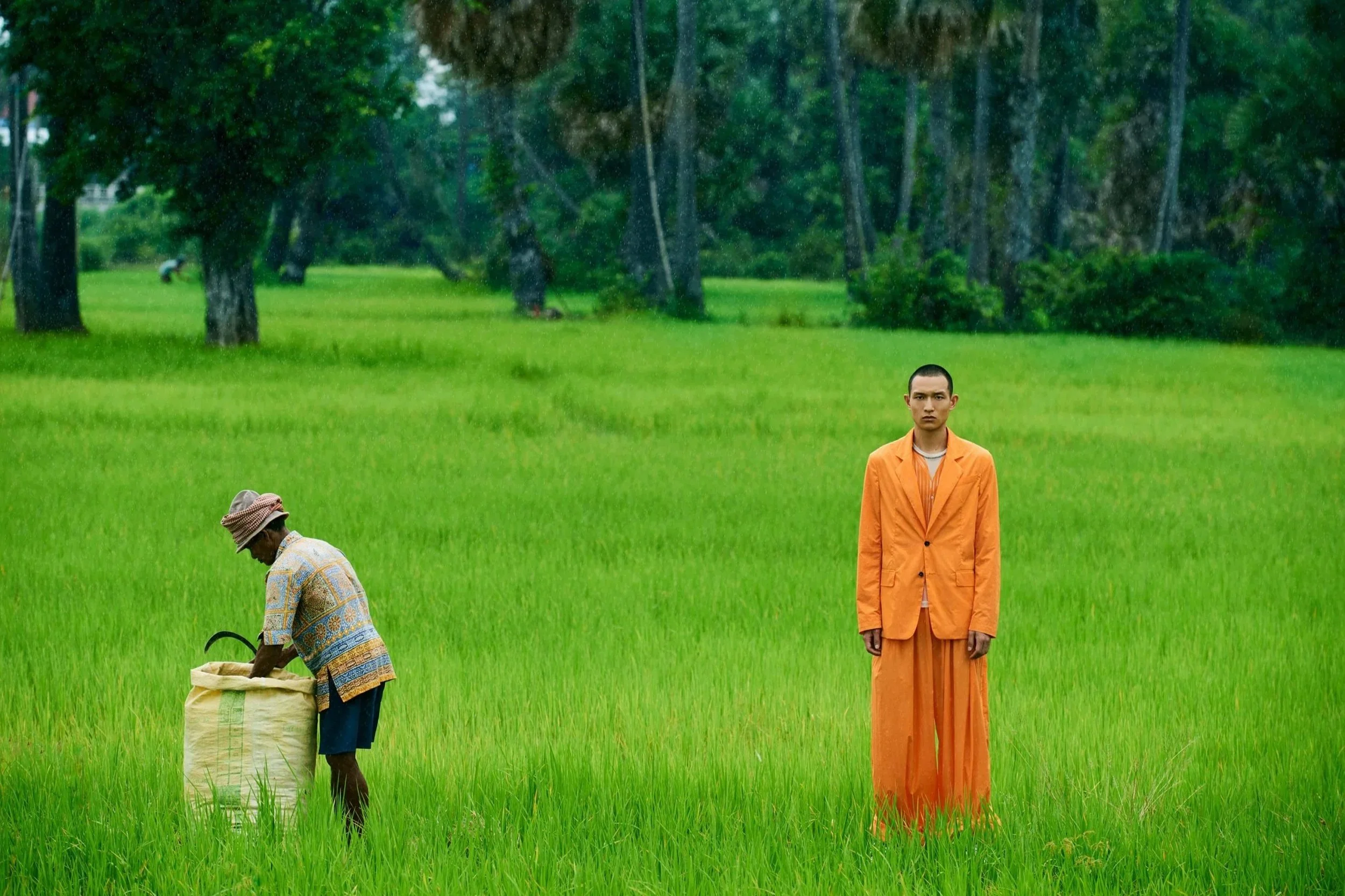 Cambodia — The Field