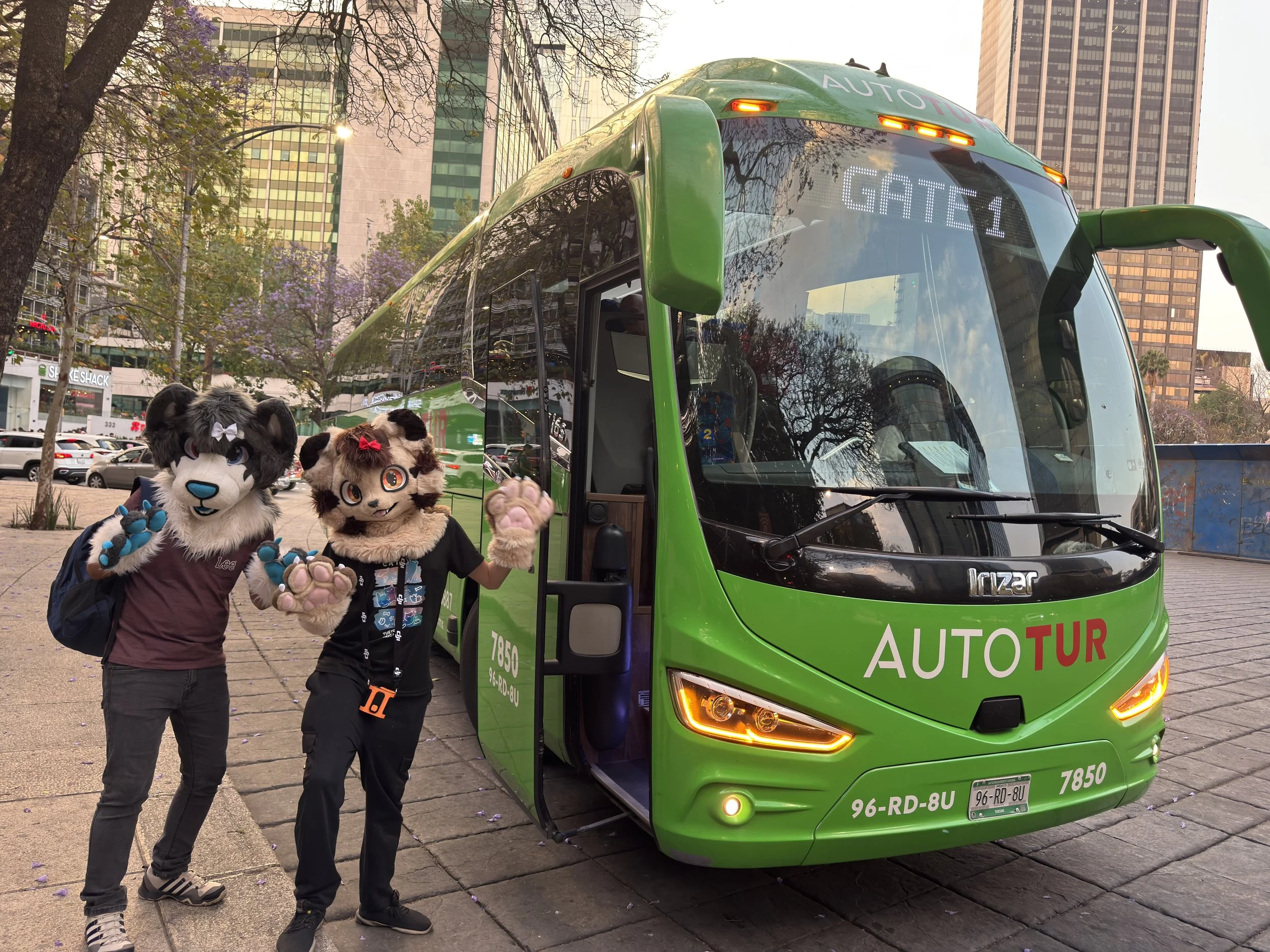 AutoFur™: Todo nace de una idea