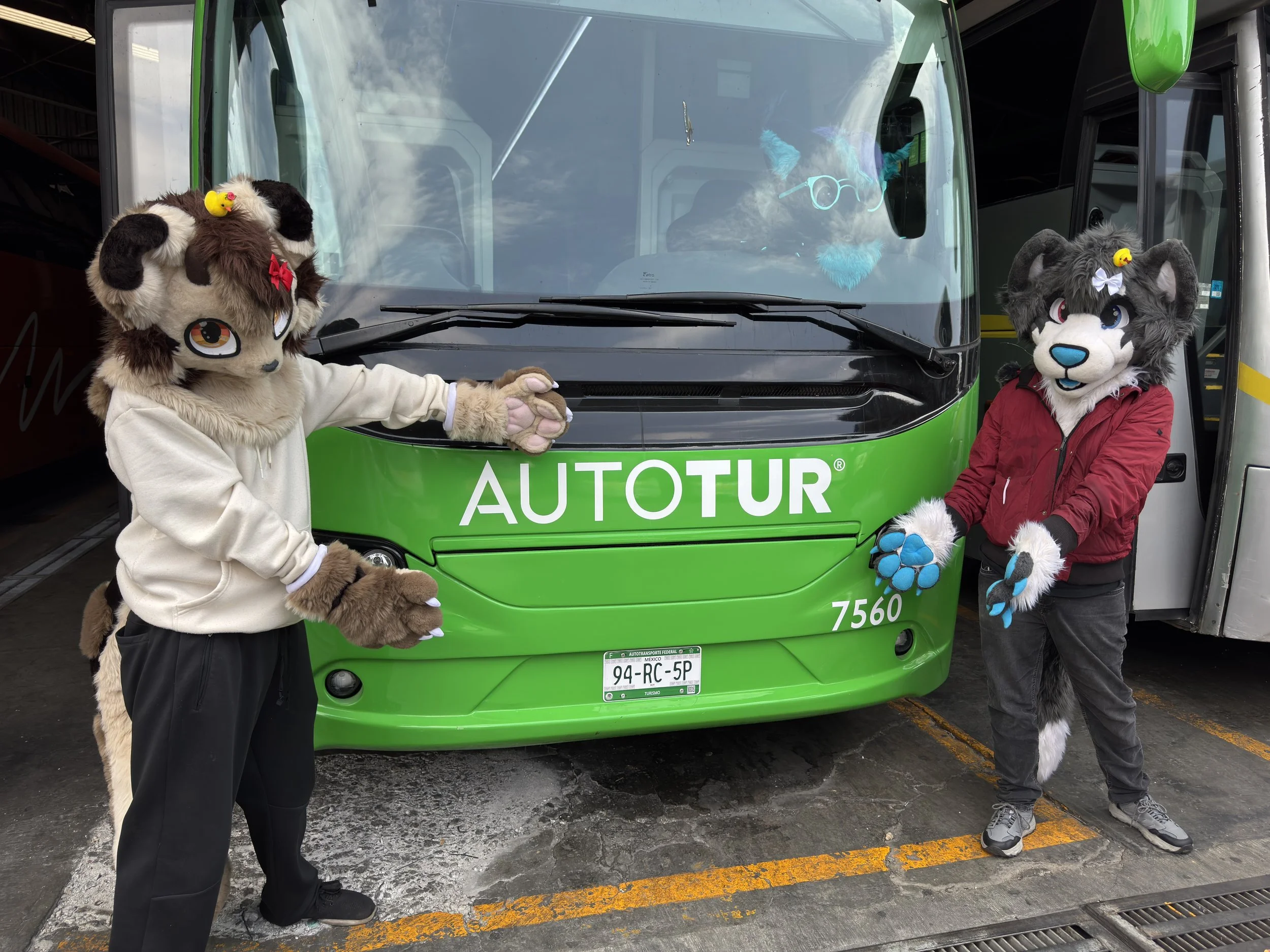 AutoFur™: ¿Por qué escogimos Mobility ADO?