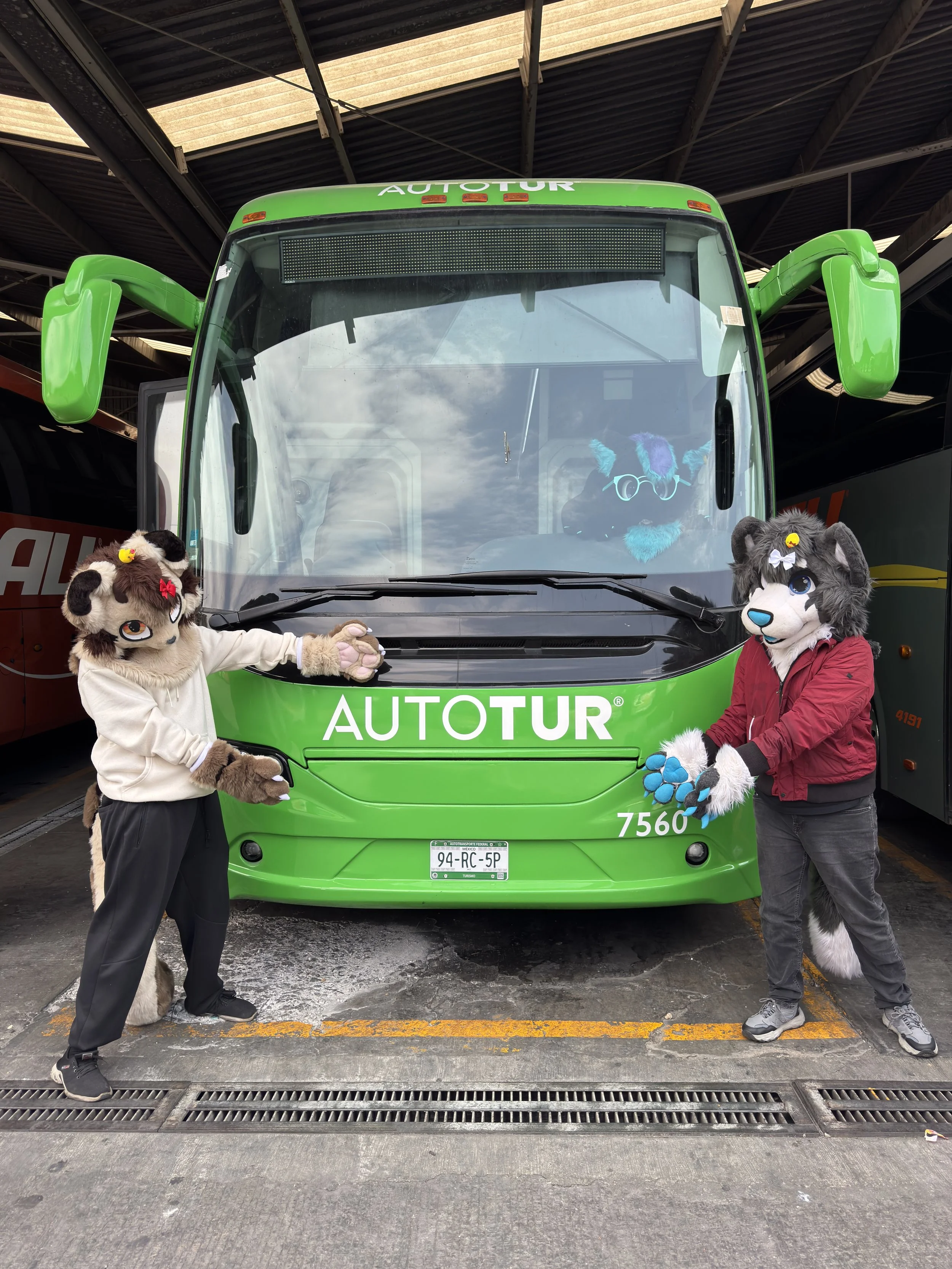 Dos personas con trajes de personajes animales posando frente a un autobús verde que tiene la palabra 'AUTOTUR' en la parte superior y el número 7560 en la parte frontal. Ambas personas se toman de las manos.
