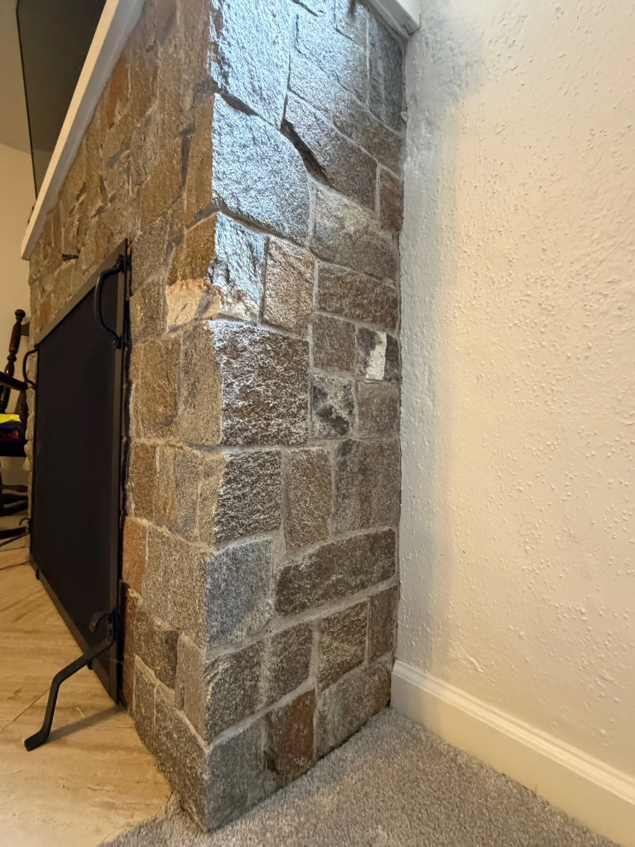 basement fireplace.jpeg