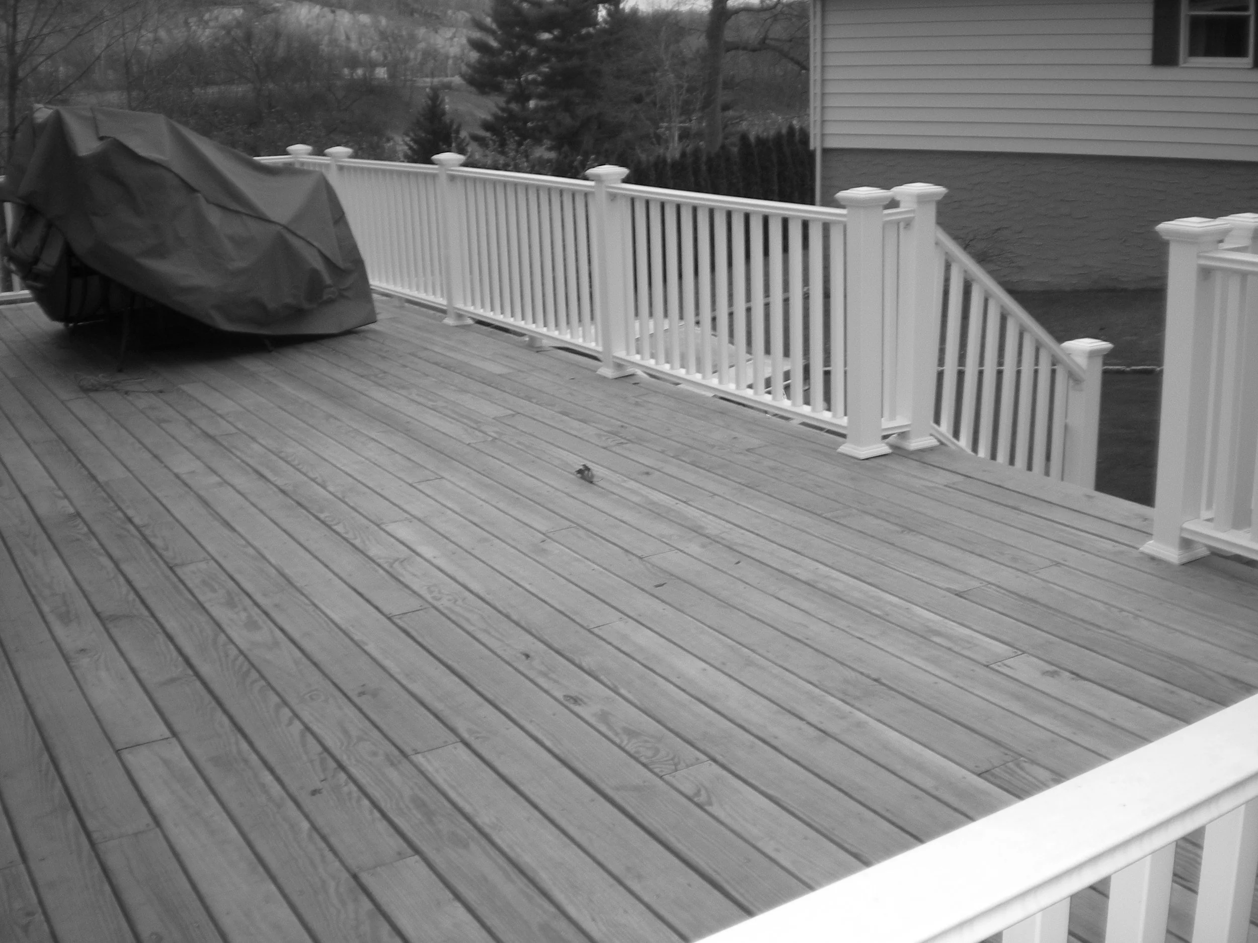 DSCN1129.JPG