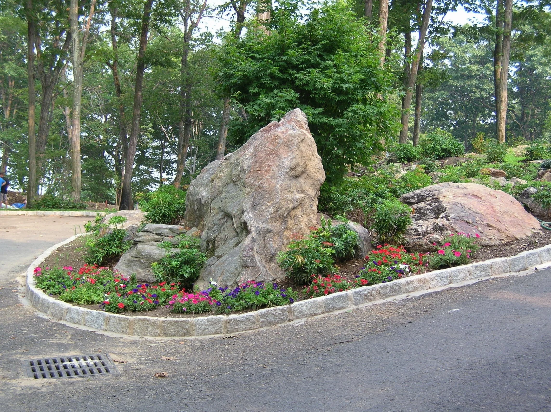 robbies pond.JPG