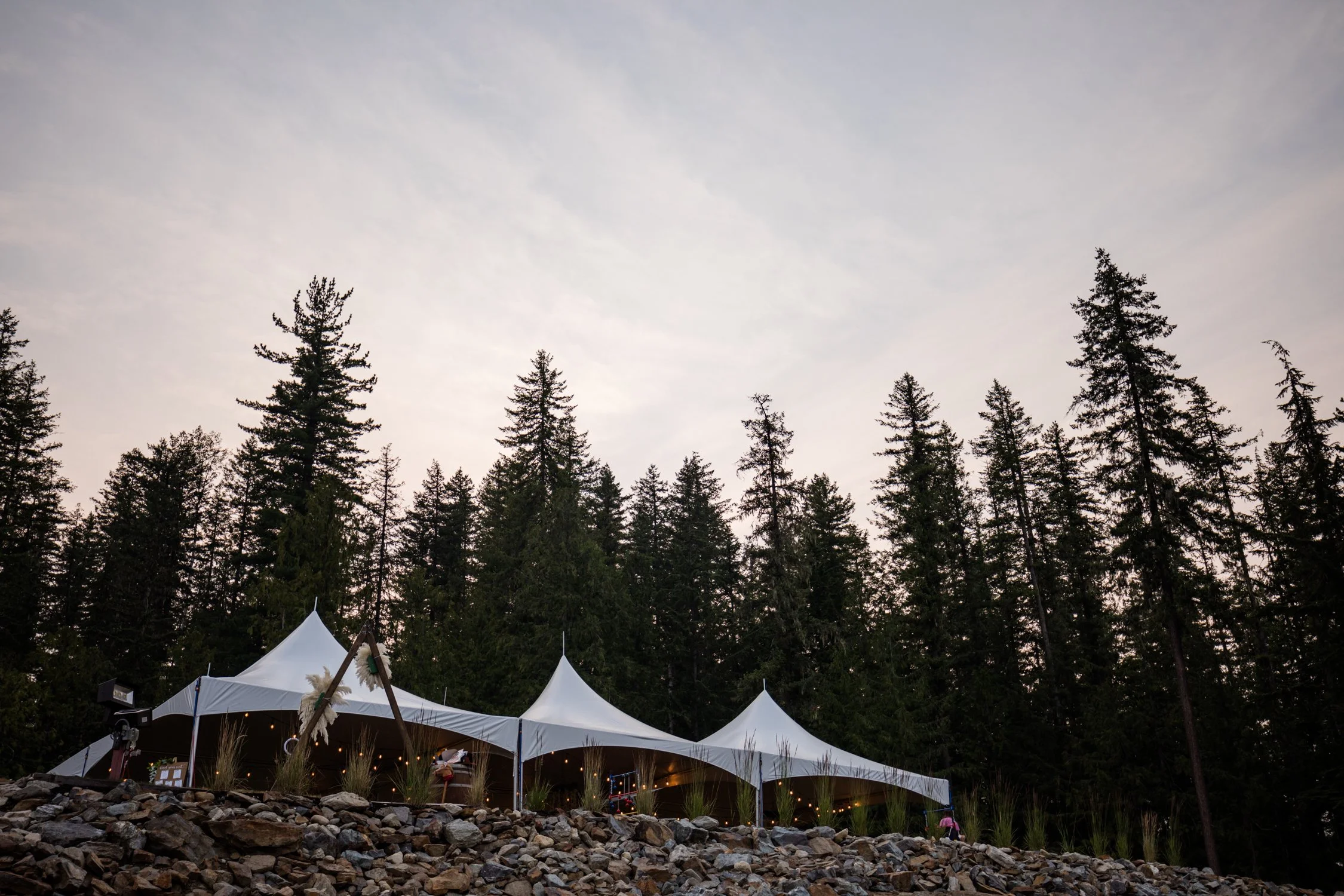 ©backdeckstudios-revelstoke-eaglepass-wedding-25.jpg