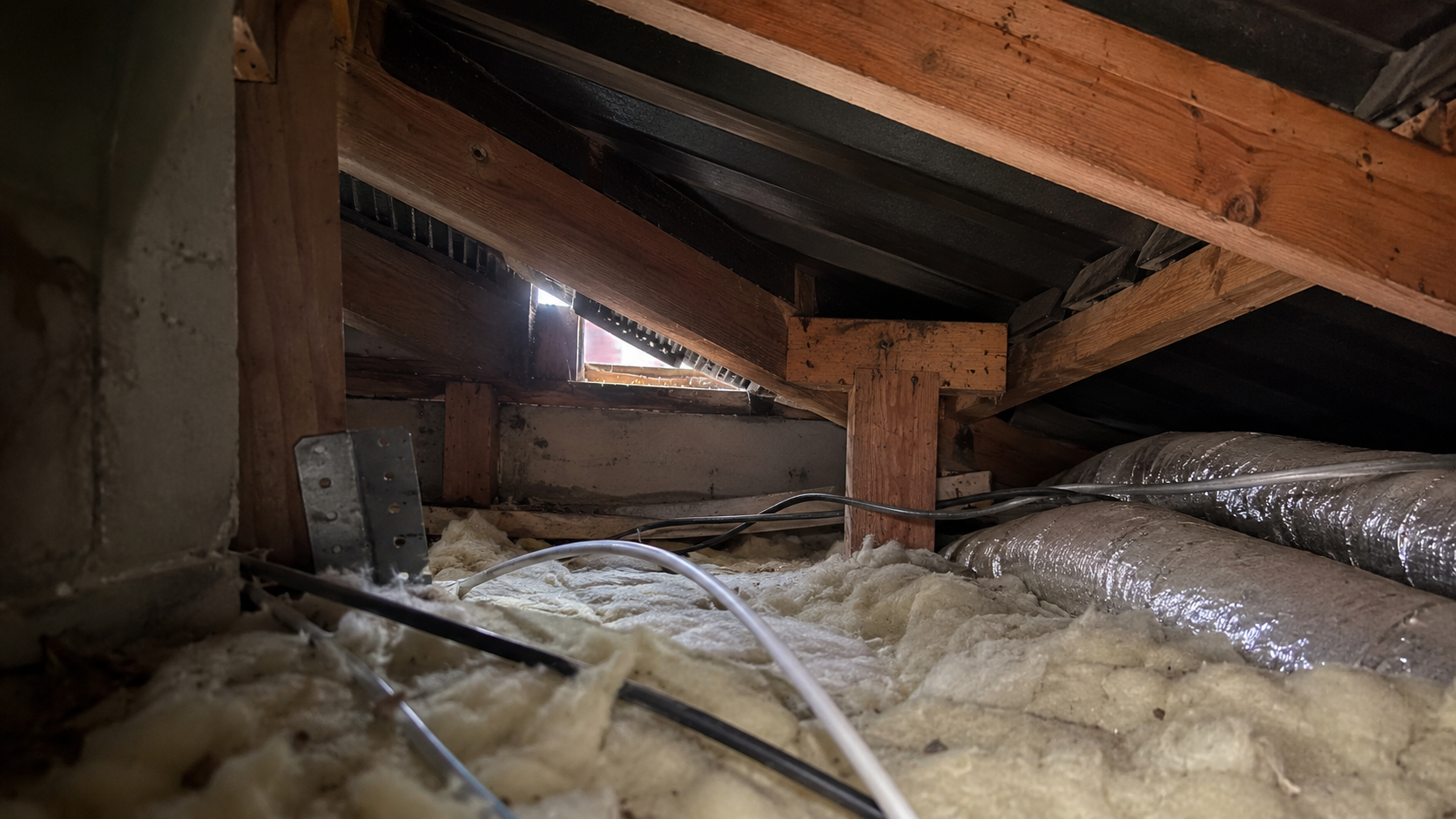 Residential roof space showing a possible rodent entry point near the eaves.