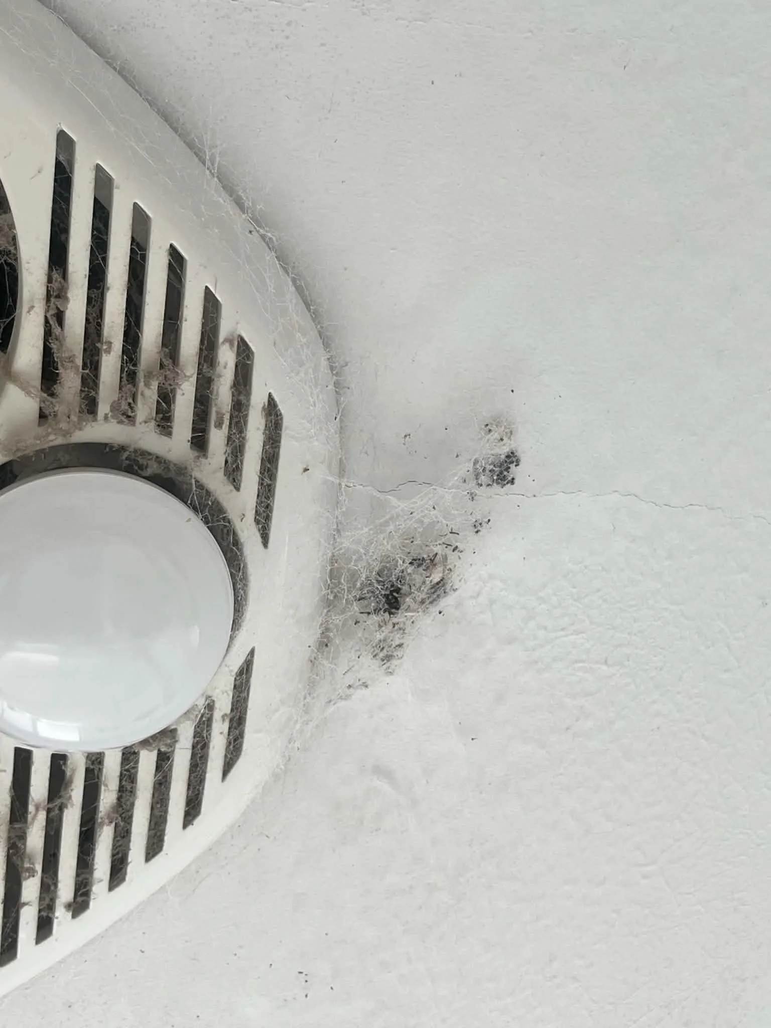 Spider webbing around a ceiling vent in a Perth home.