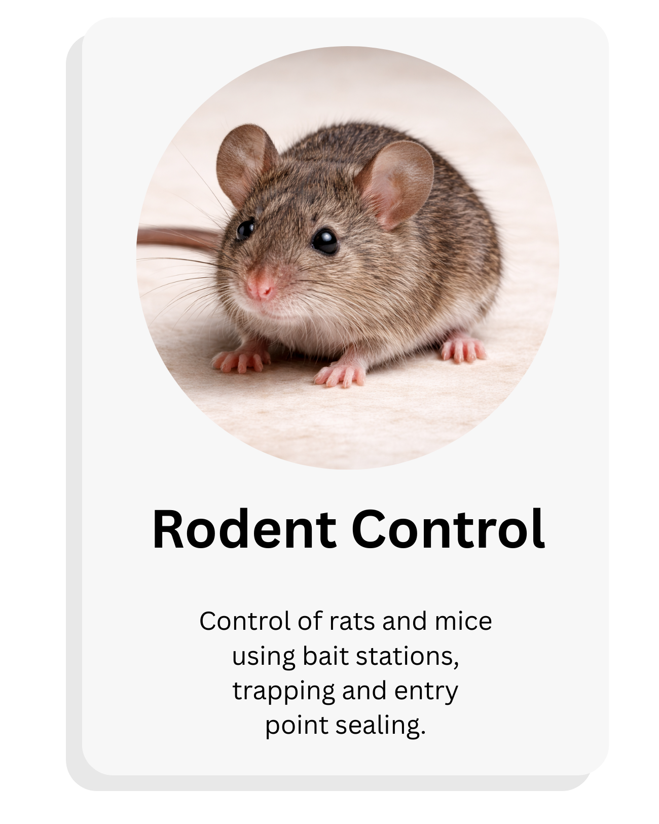 A mouse with brown fur and large ears on a light background. Text below reads "Rodent Control" with additional text about controlling rats and mice using bait stations, trapping, and entry point sealing.