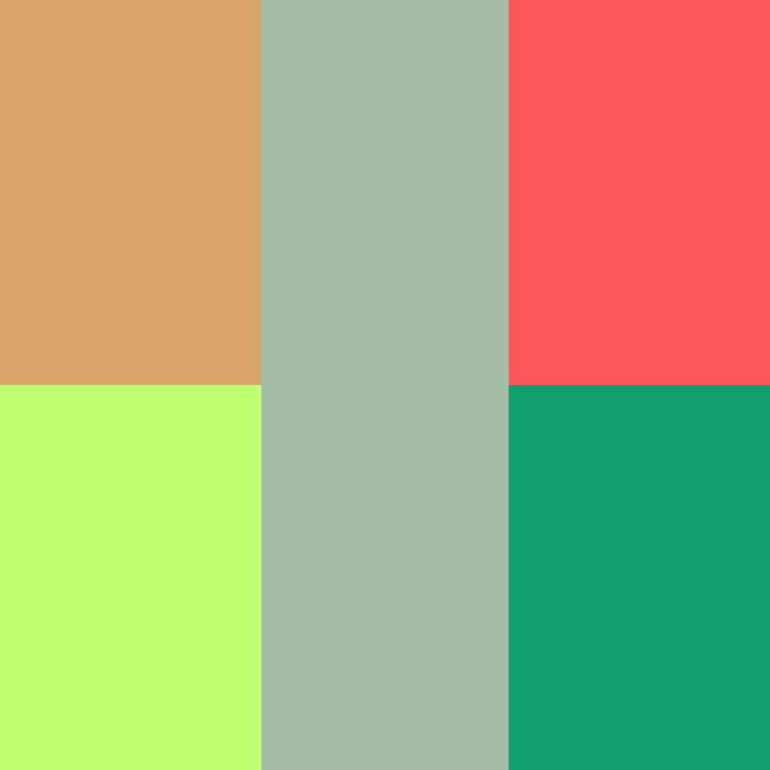 Essay 4: Capacity Blue Zones