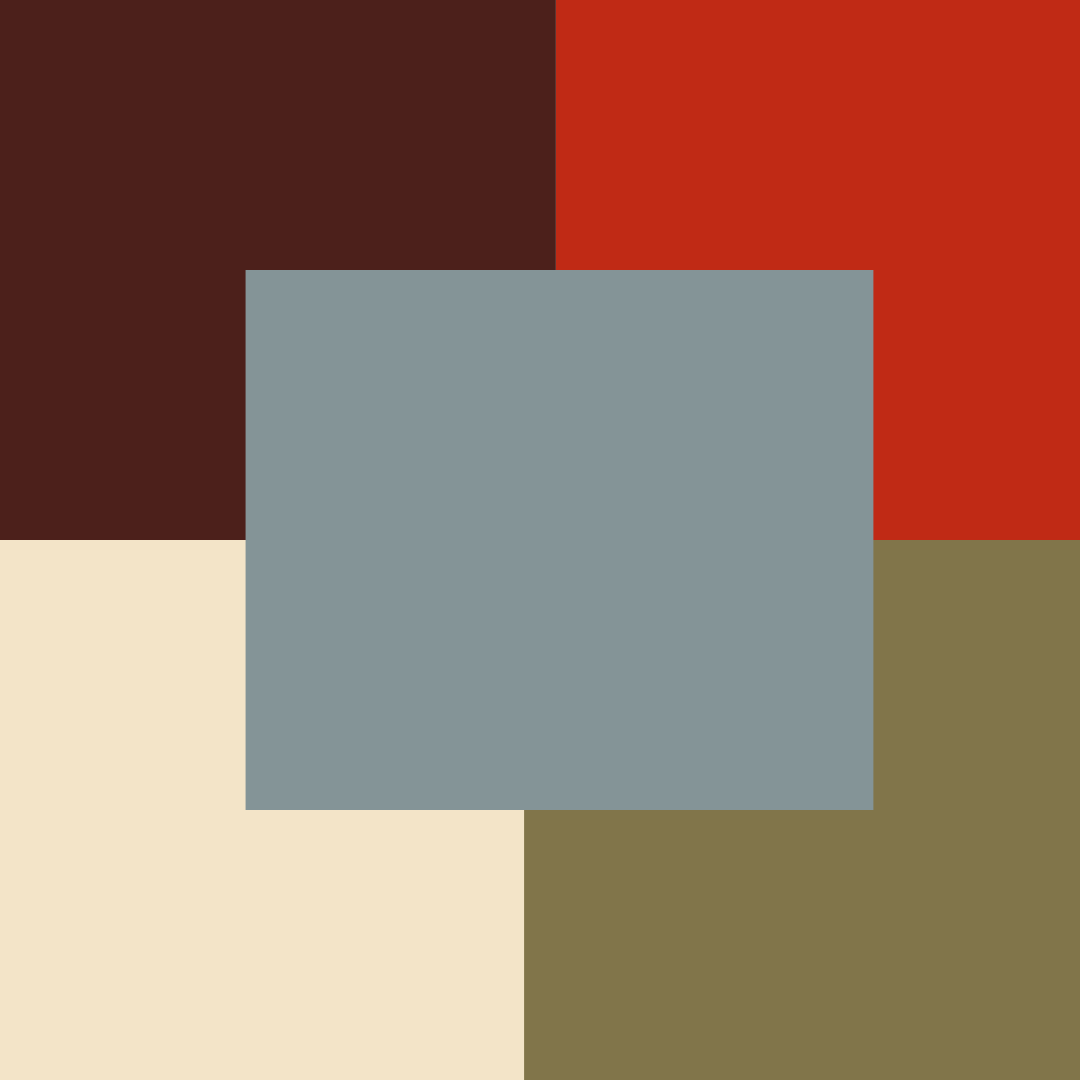 Essay 3: The Spiders at NASA