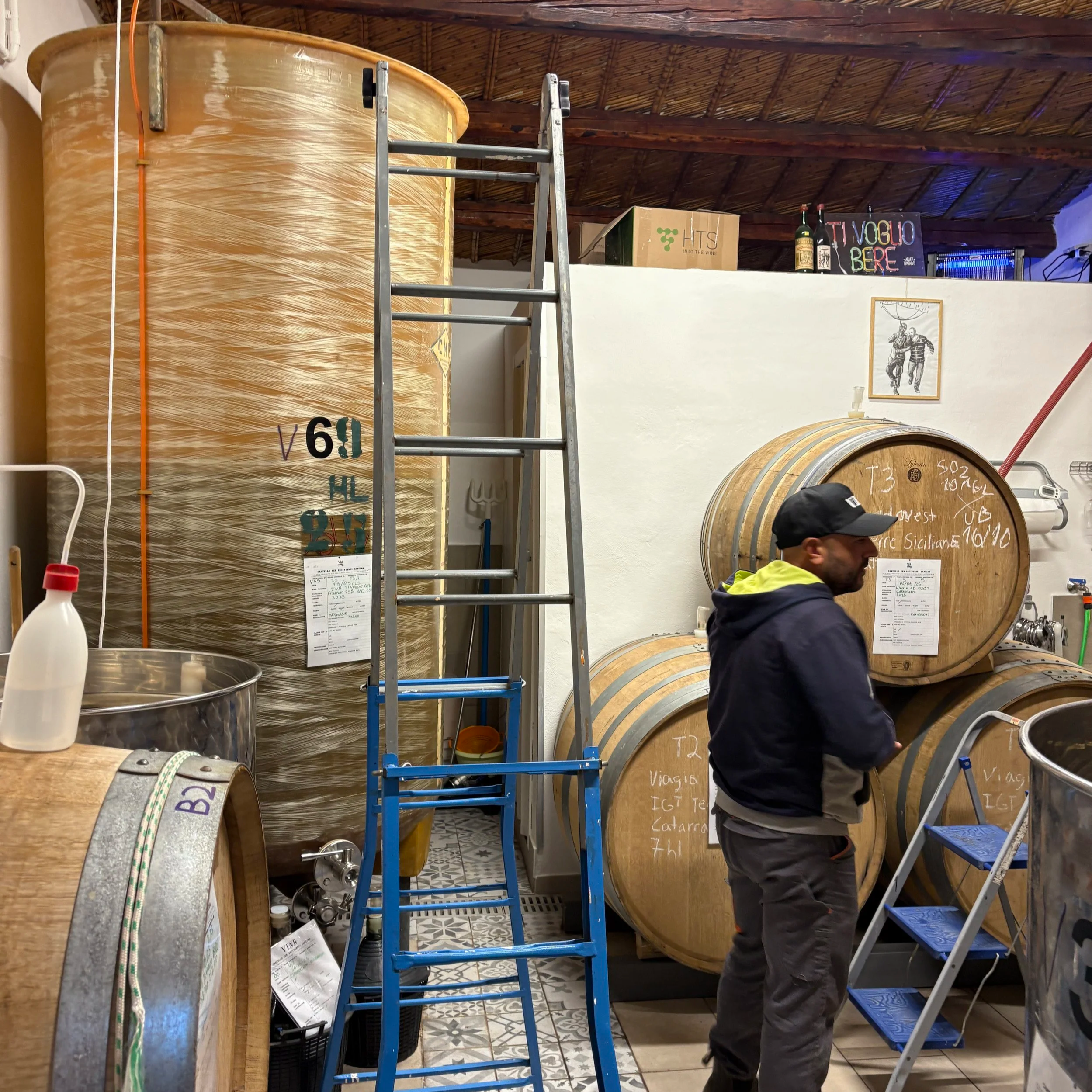 Man in Agricola VinB wine cellar in Sicily