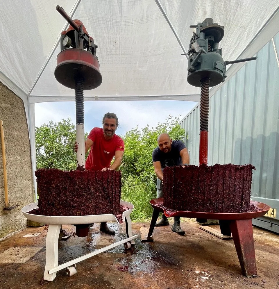 Agricola VINB with their vertical presses