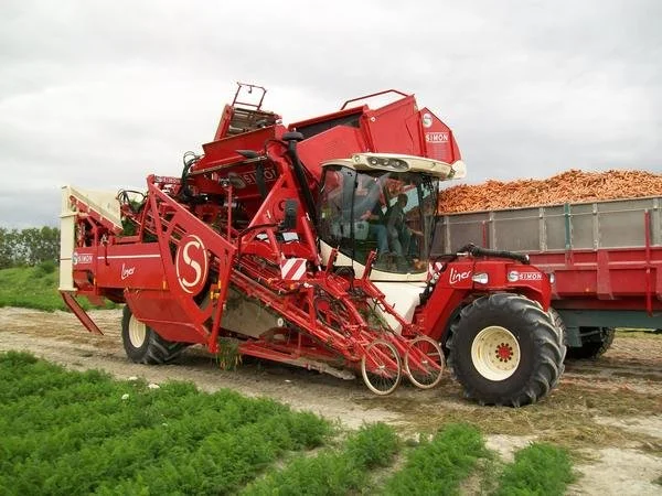 Red agricultural forage harvester machine in a farm field, harvesting crops for silage, with a trailer loaded with chopped plant material behind it.