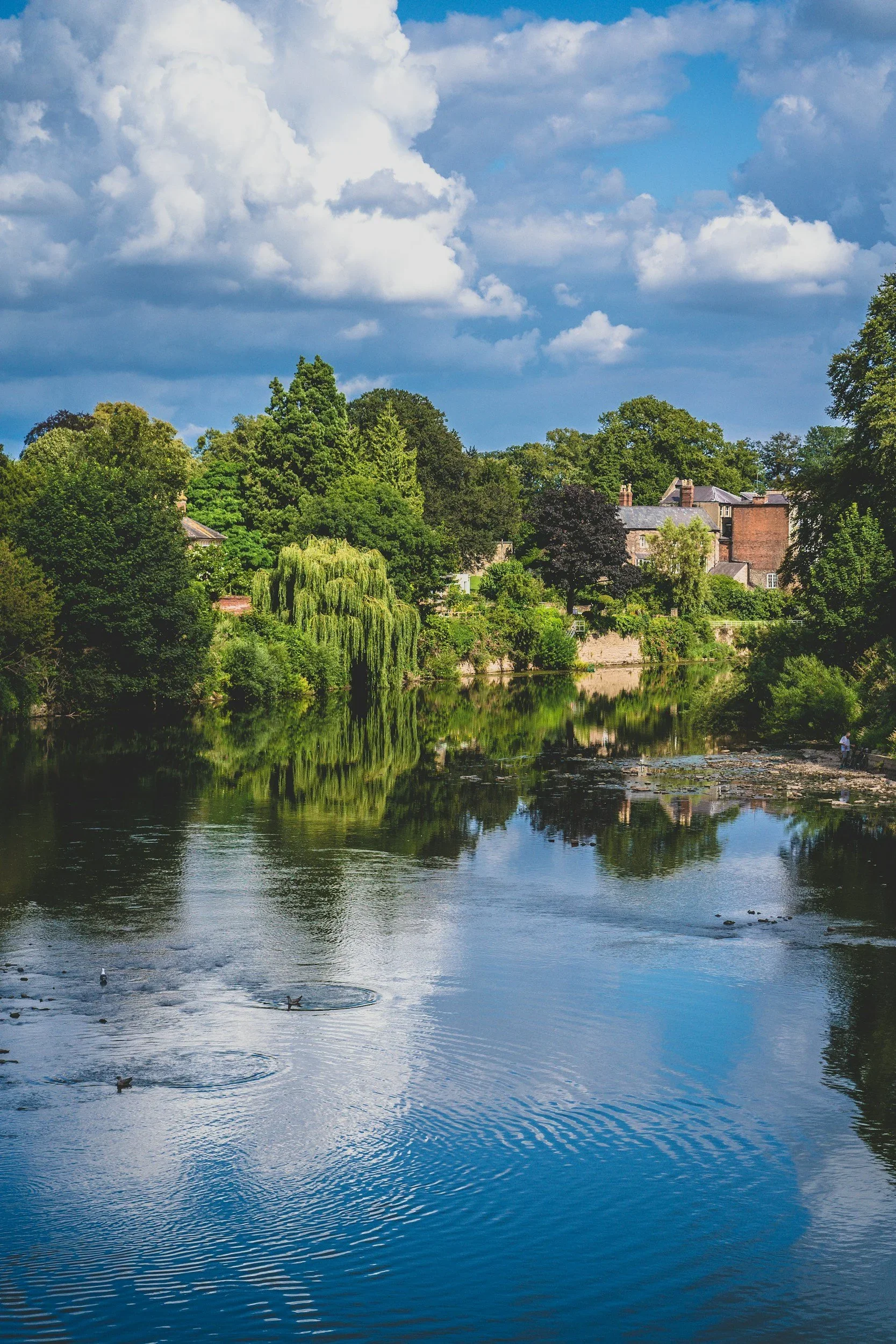 A scenic river surrounded by lush green trees and houses under a partly cloudy sky.
