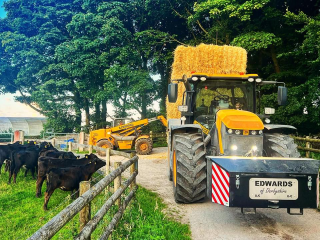 A tractor hauling hay bales on a farm, with cows behind a fence and trees in the background.