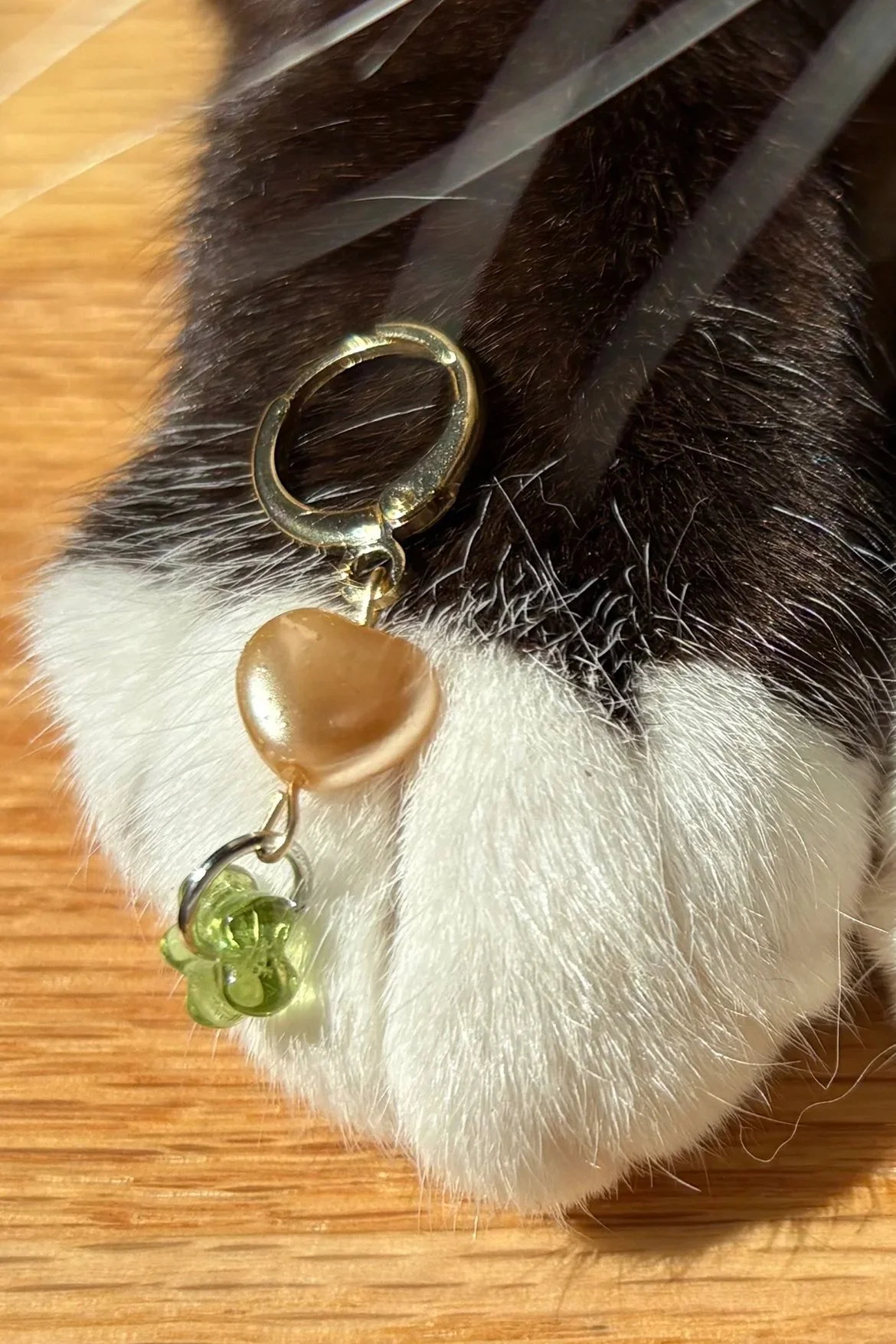 Tito's Earrings