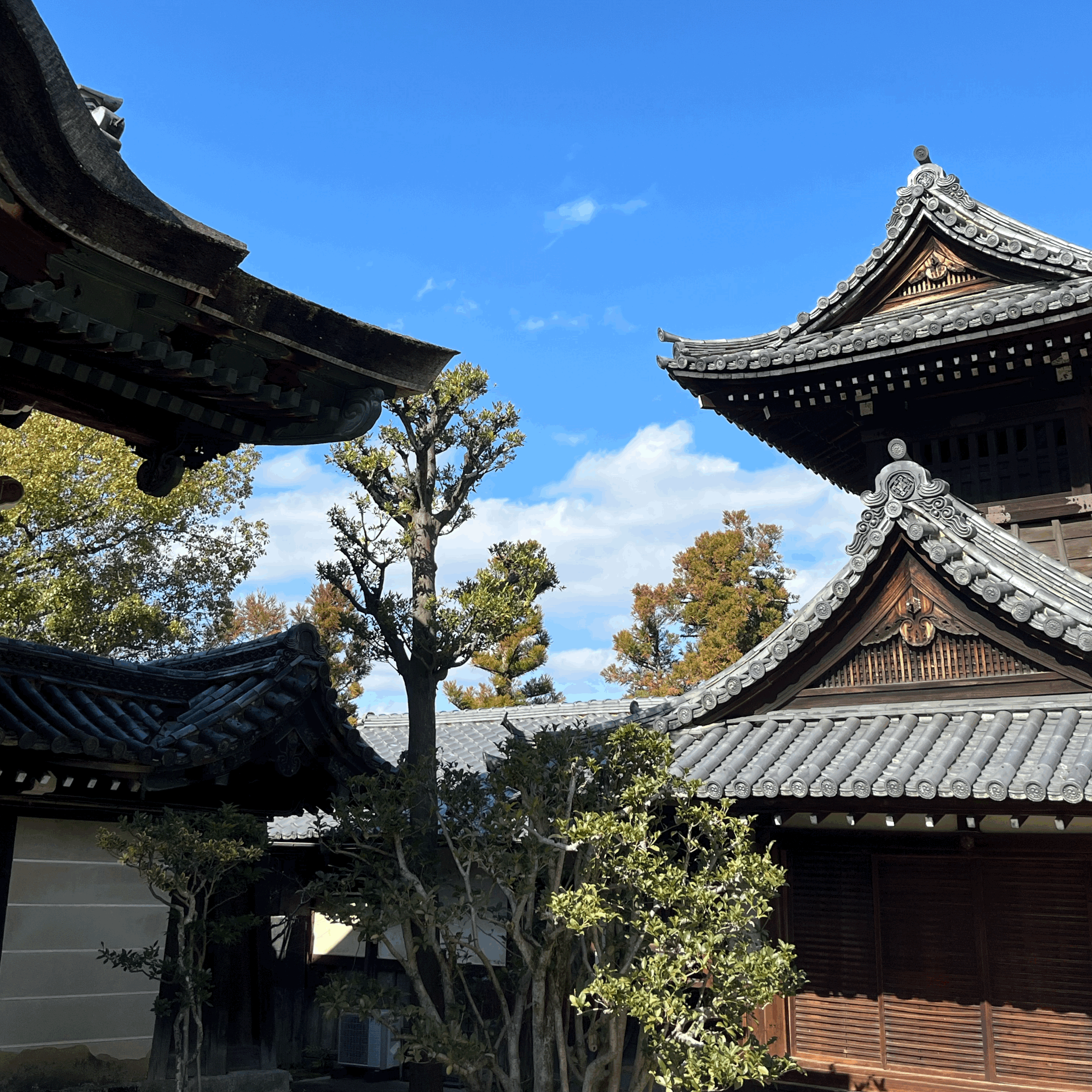 What is Wabi-Sabi Interior Design?
