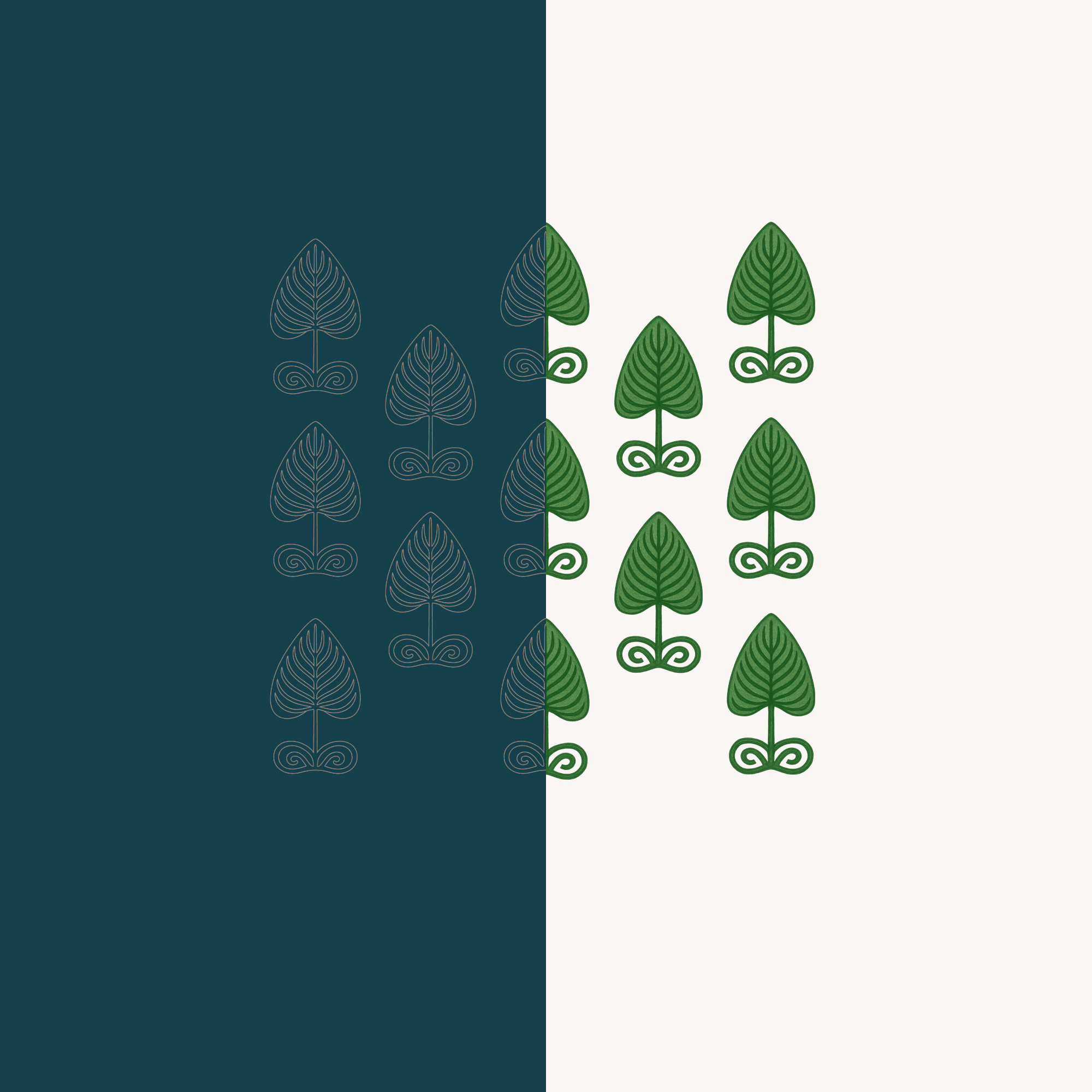 A design sketch from BOMBAY DESIGN CO. named Baadiyah which reflects the quiet resilience of trees shaped by wind, sun, and time, rooted deep in the earth yet reaching toward the sky.
