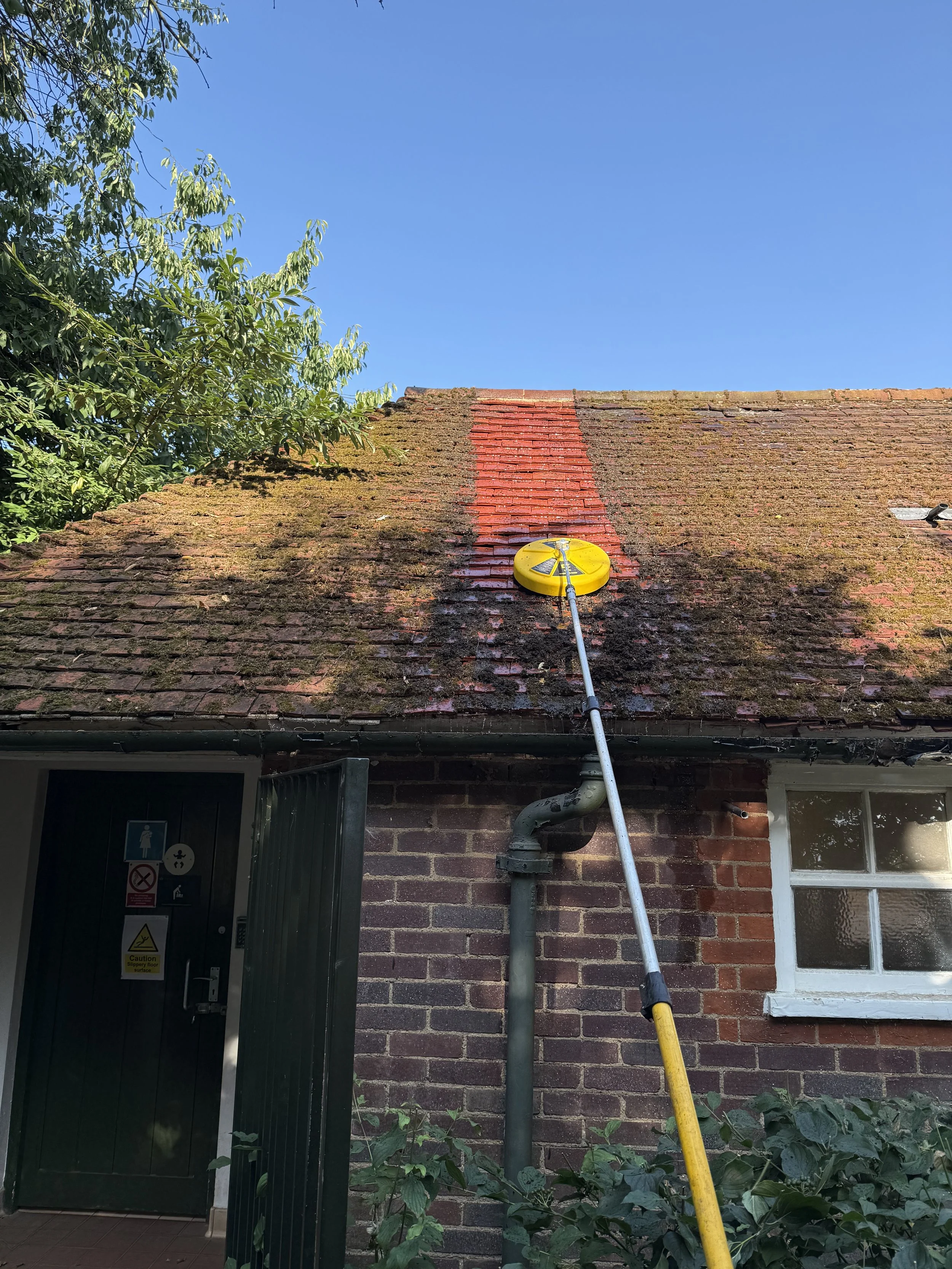 Roof Cleaning-Moss Removal