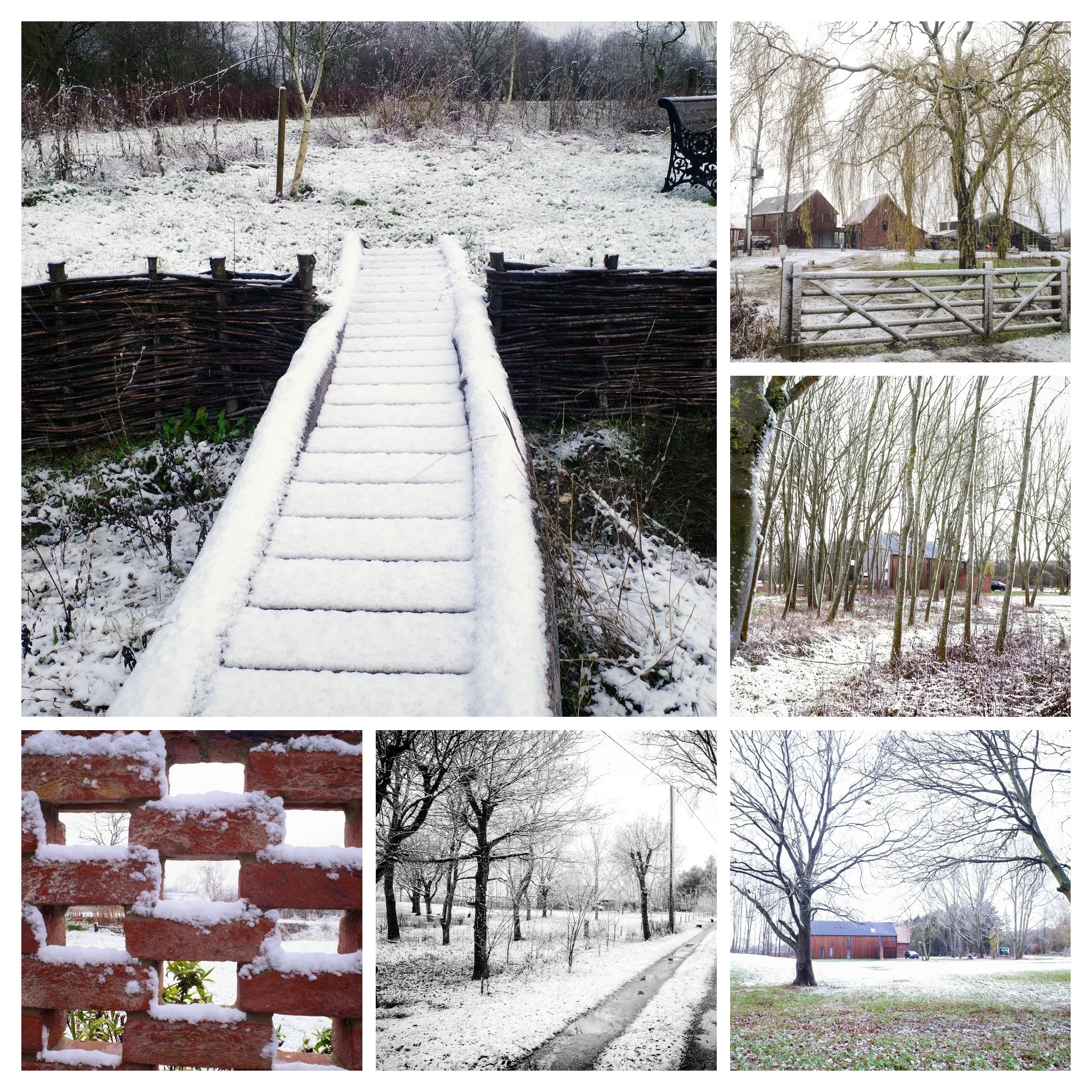 Collage of winter scenes featuring snow-covered ground, trees, wooden fences, a brick wall with snow, a dirt road with snow, and a barn.