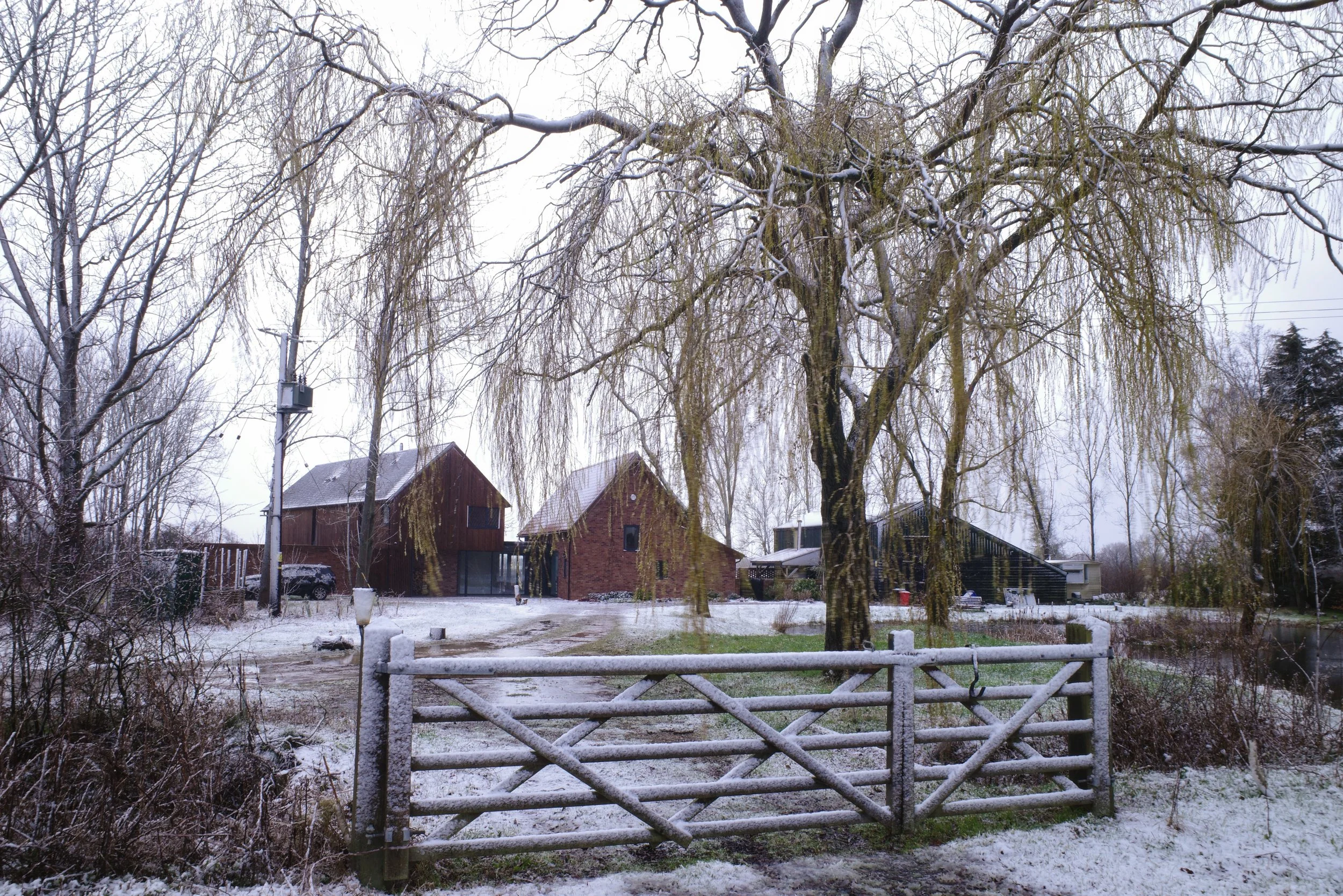 Snow-covered yard with a wooden gate, large trees with hanging branches, and modern houses in the background during winter.