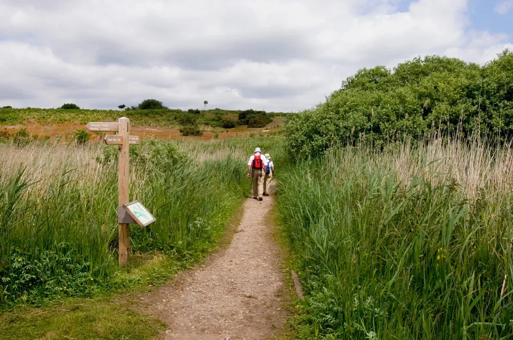 Two hikers walking down a dirt trail through tall grass, with a wooden signpost and a green landscape under a cloudy sky.