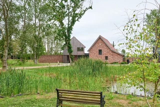 A wooden park bench facing a pond with tall grasses and trees, with houses visible in the background.