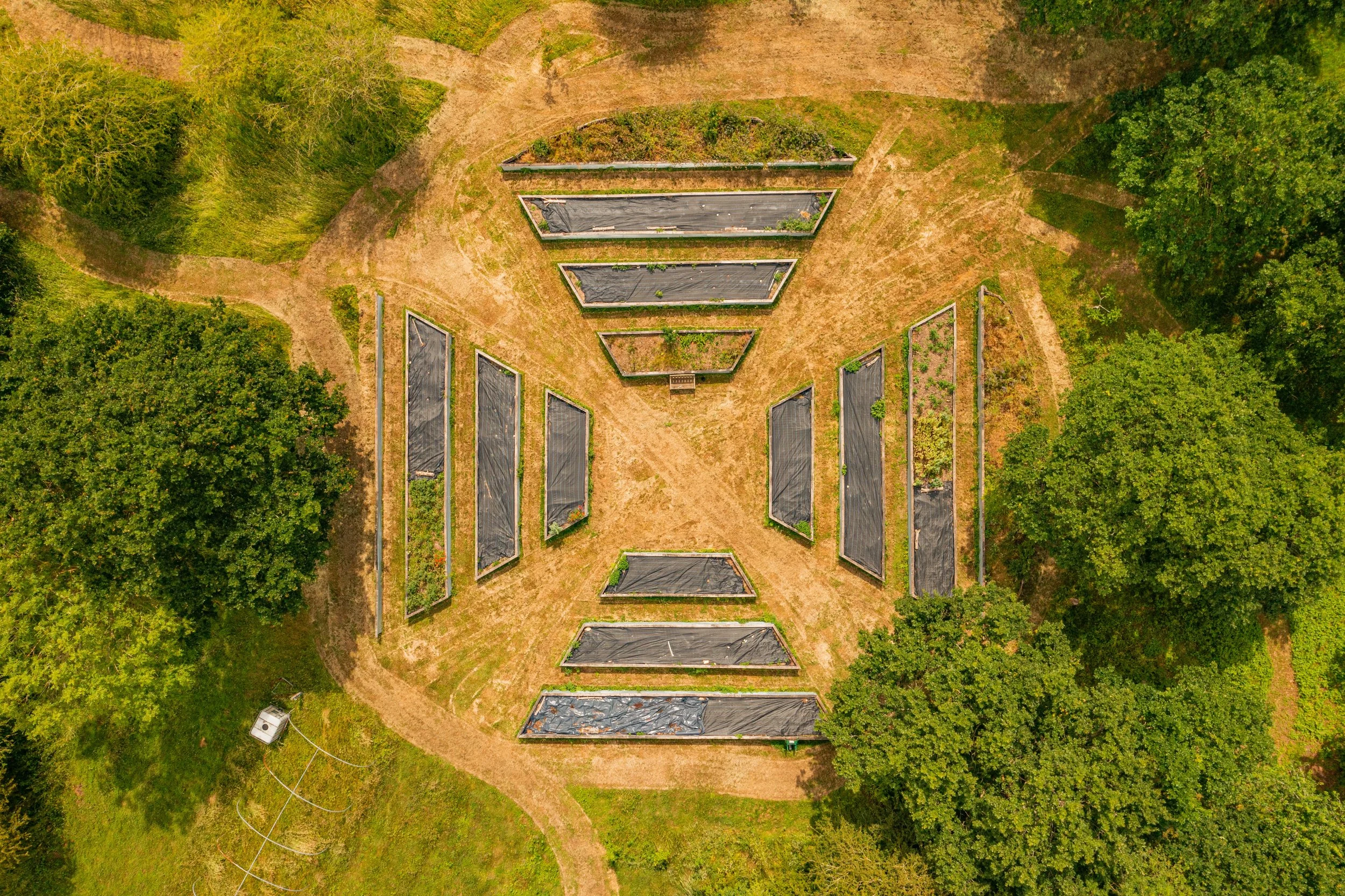 An aerial view of Hugul beds in the form of a Celtic Cross , surrounded by grass and trees.
