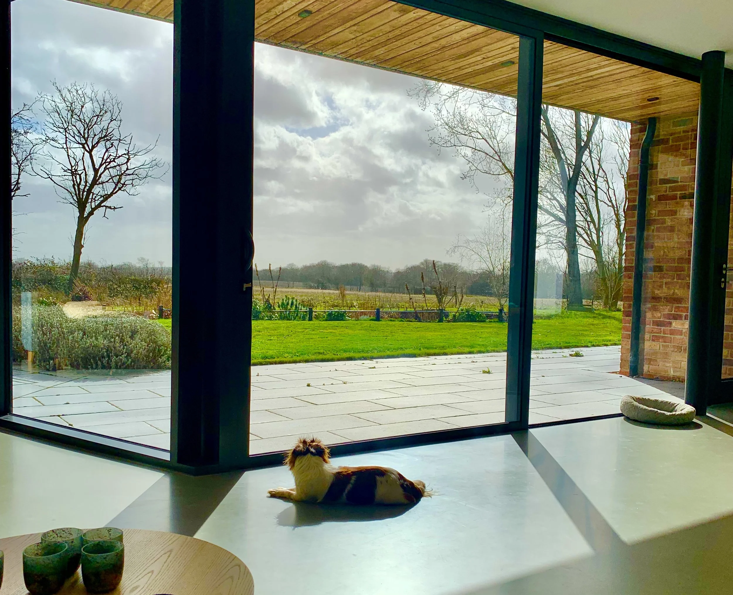 A small dog lying on the floor inside a house, looking out through a large glass sliding door at a yard with grass and trees, partly cloudy sky.