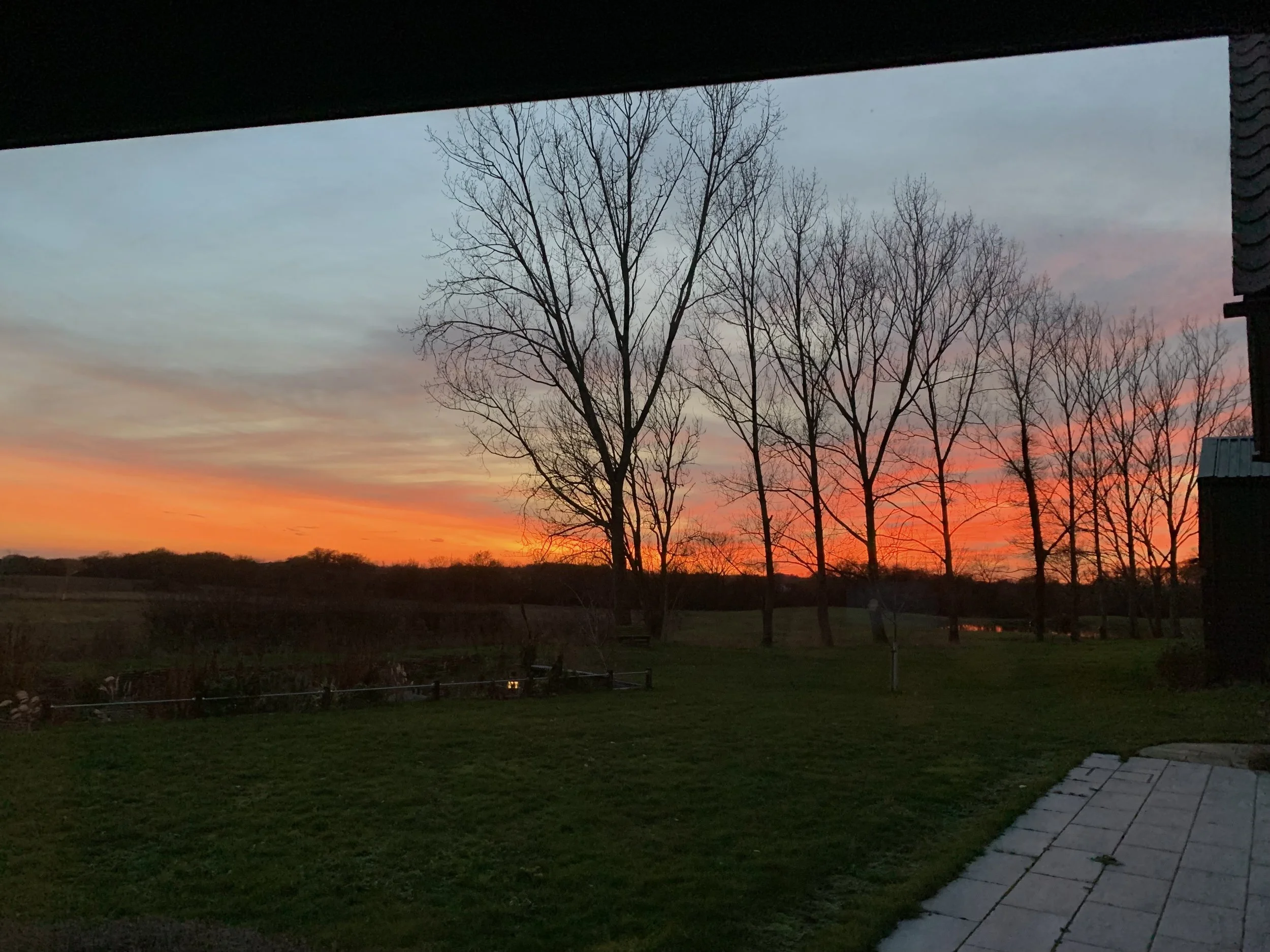 View of a sunset with colorful orange, pink, and blue sky, silhouetted leafless trees, and a grassy yard with a stone patio.