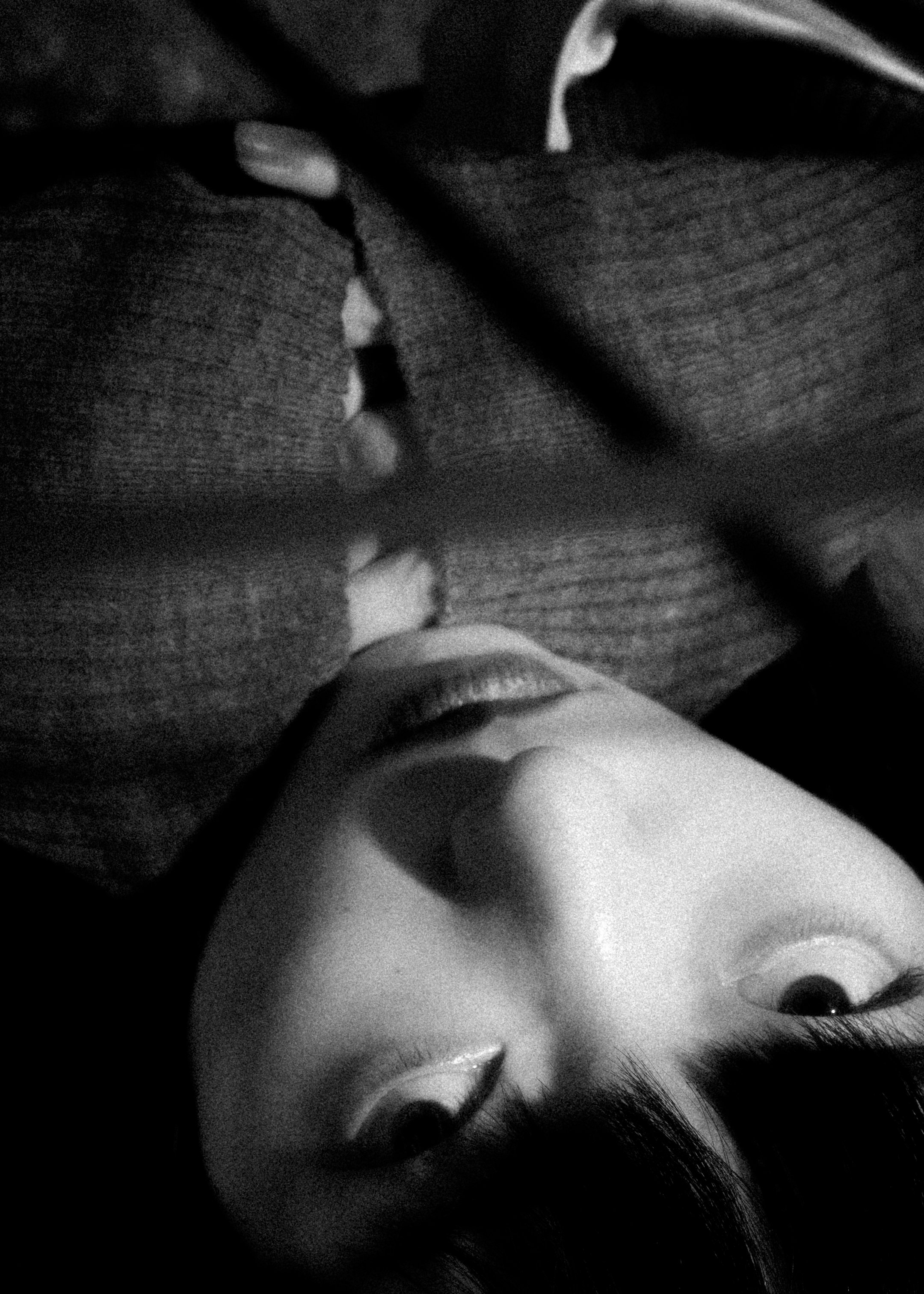 2024-11-05 ARIS0295.jpg