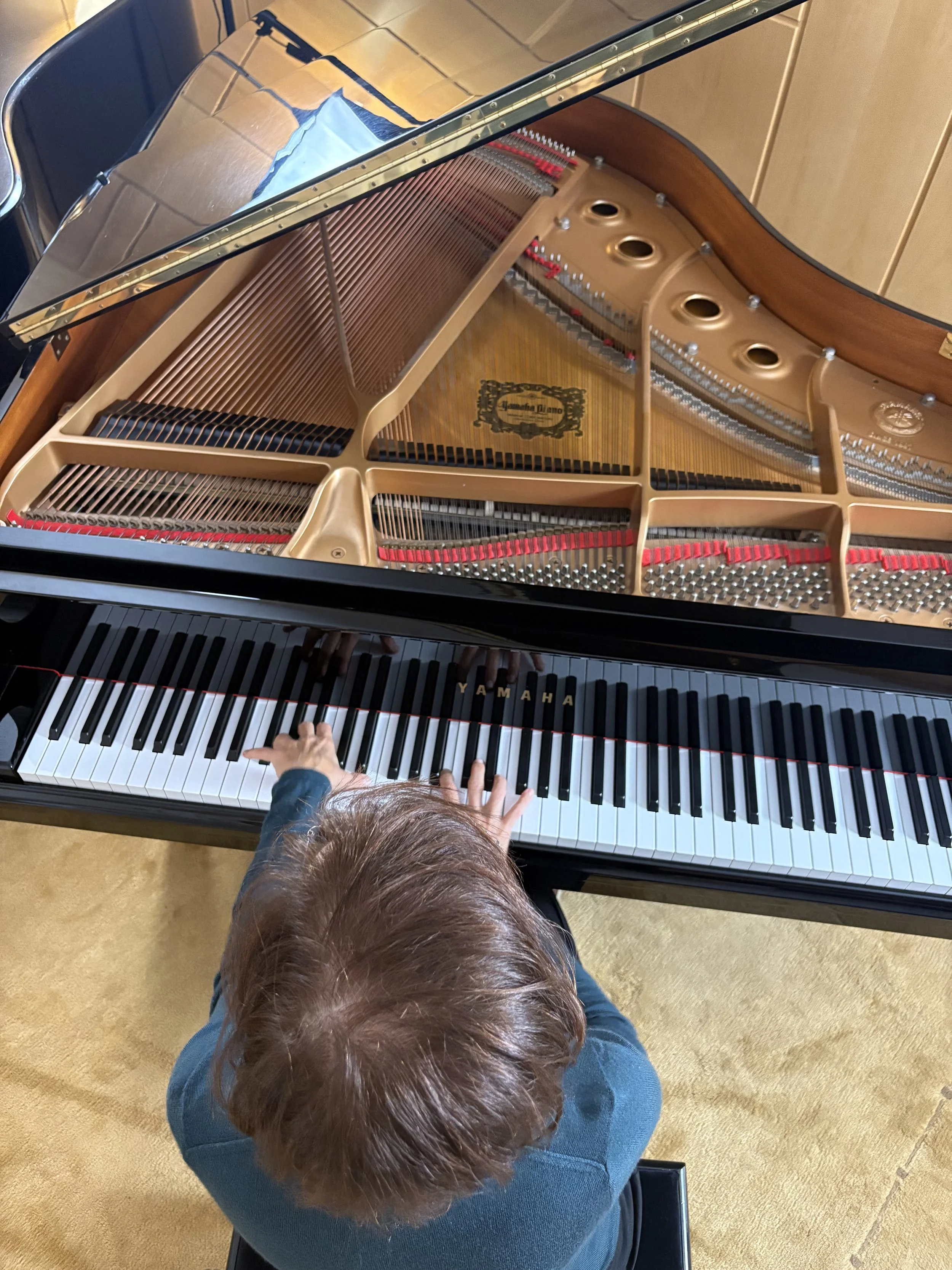 Beate May spielt auf einem schwarzen Yamaha Klavier, das geöffnet ist, um die inneren Saiten und Hämmer zu zeigen. Der Blick ist von oben auf den Spieler gerichtet, der braune Haare und eine blaue Jacke trägt.