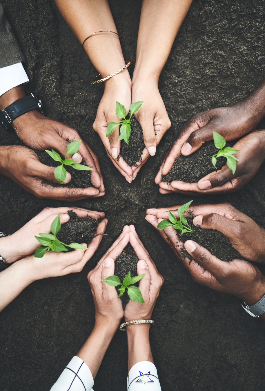 Image shows six people cupping their hands in the soil. In each persons hand is a small green seedling