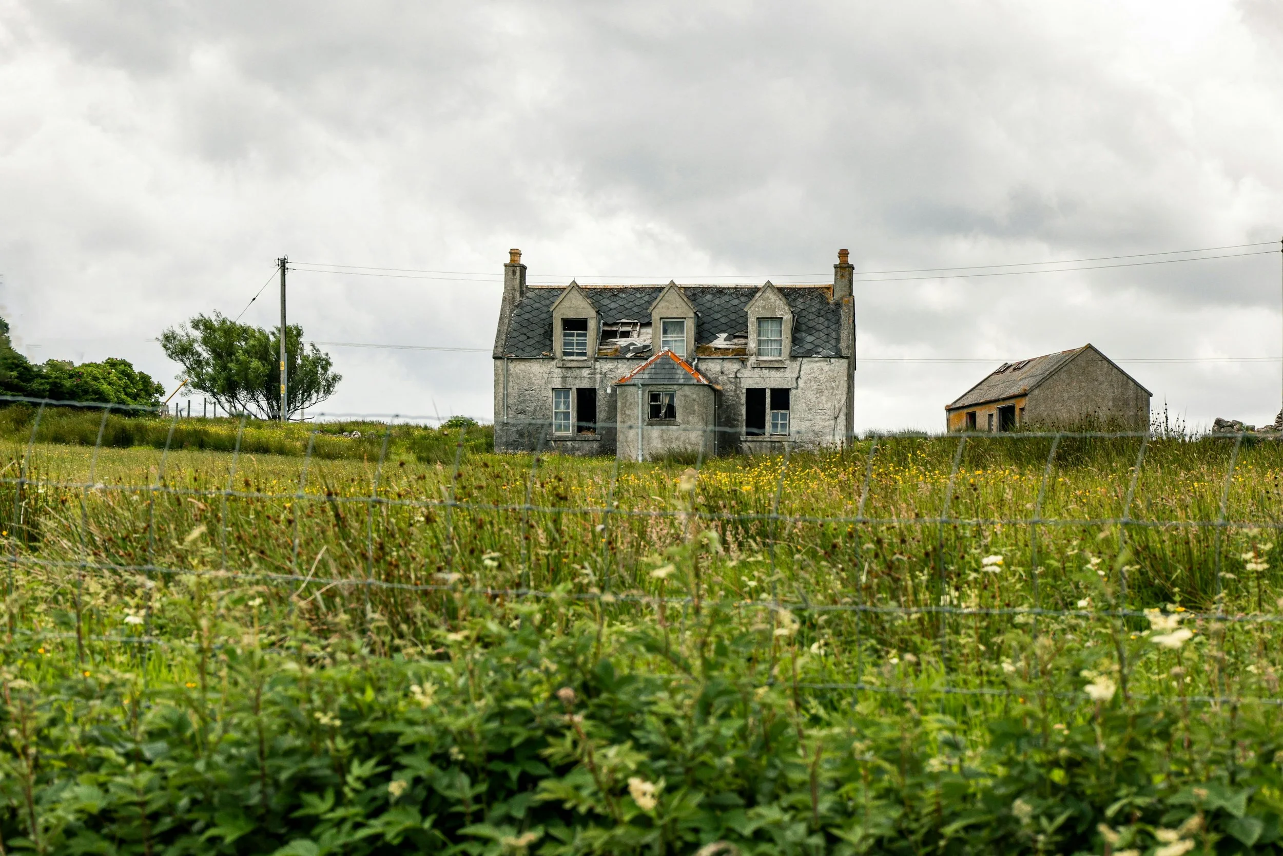 Which House Survey Do I Need? RICS Level 1, 2 and 3 Explained