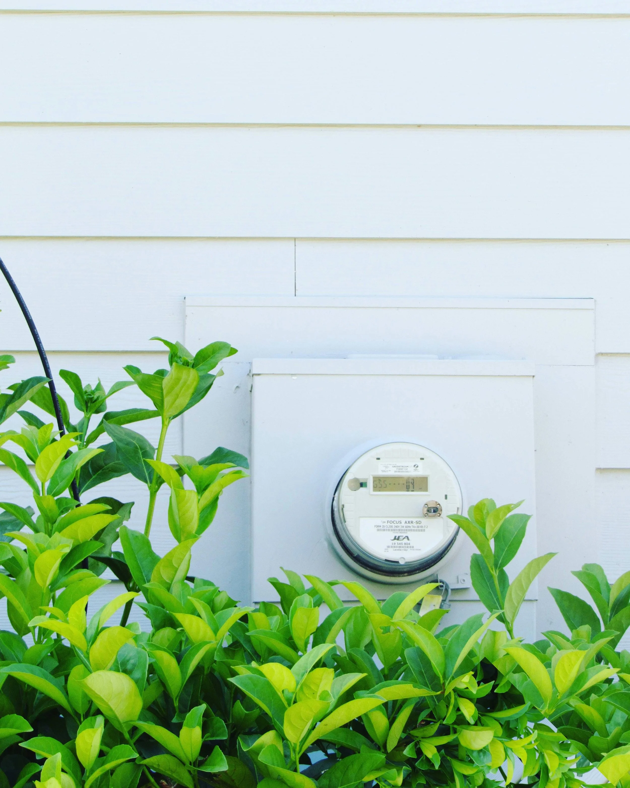 What Is an EPC and Why Does It Matter When Buying a Home?