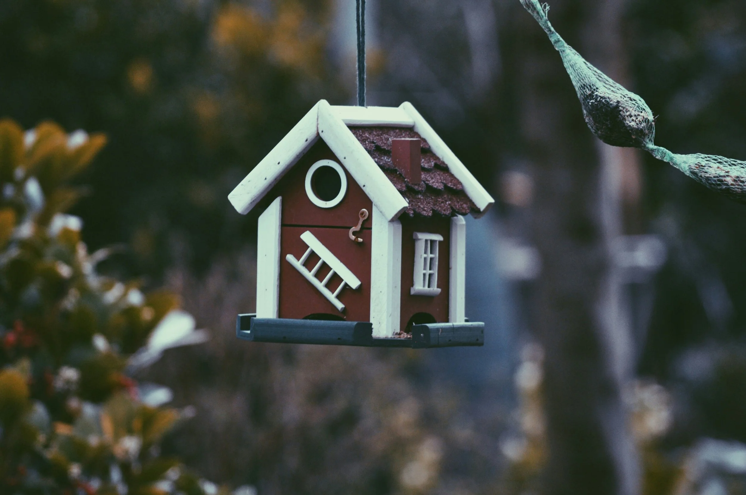 Mortgage in Principle Explained: Why You Need One Before House Hunting